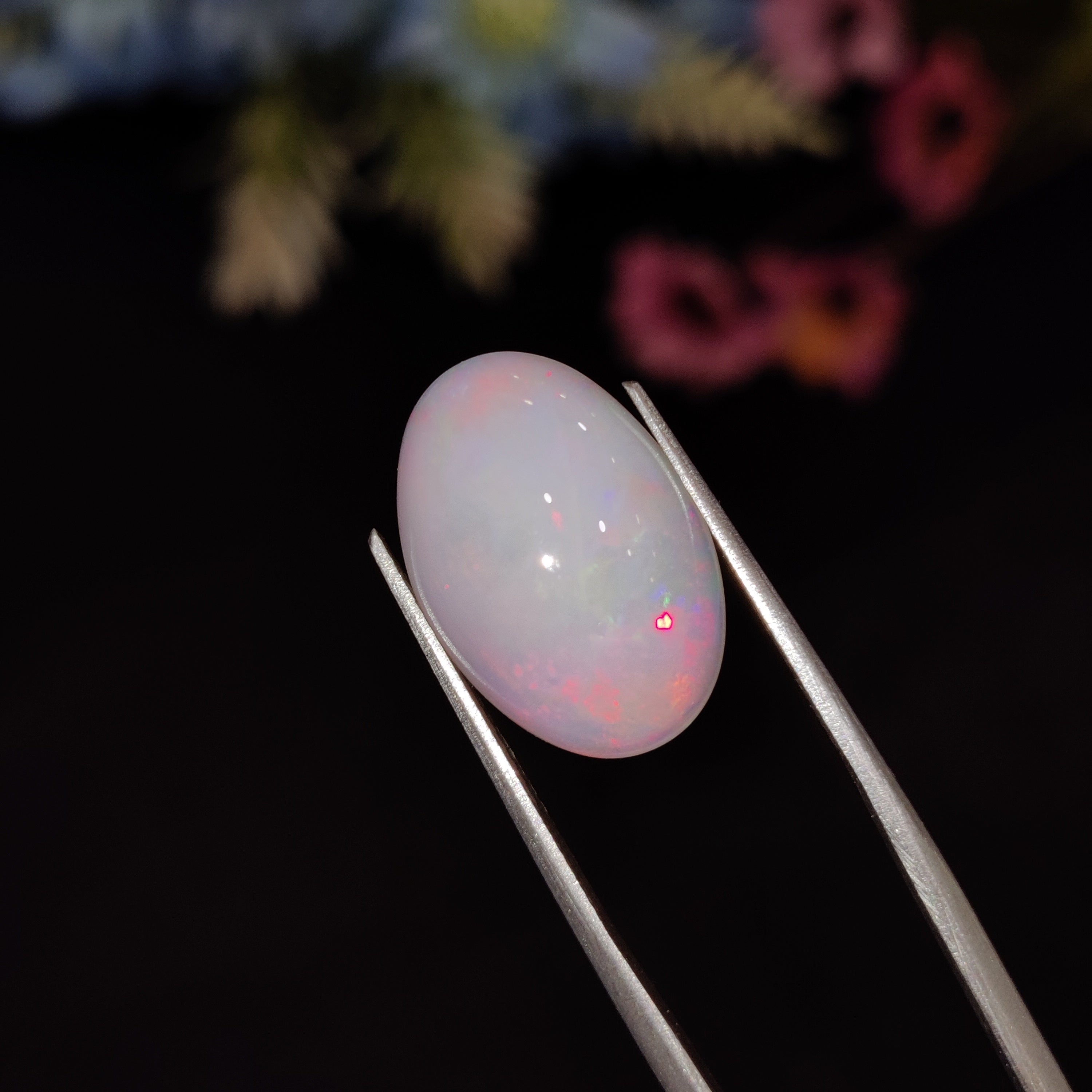 Opal | Opal 215 | 6.16 Carat