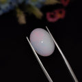 Opal | Opal 218 | 5.88 Carat