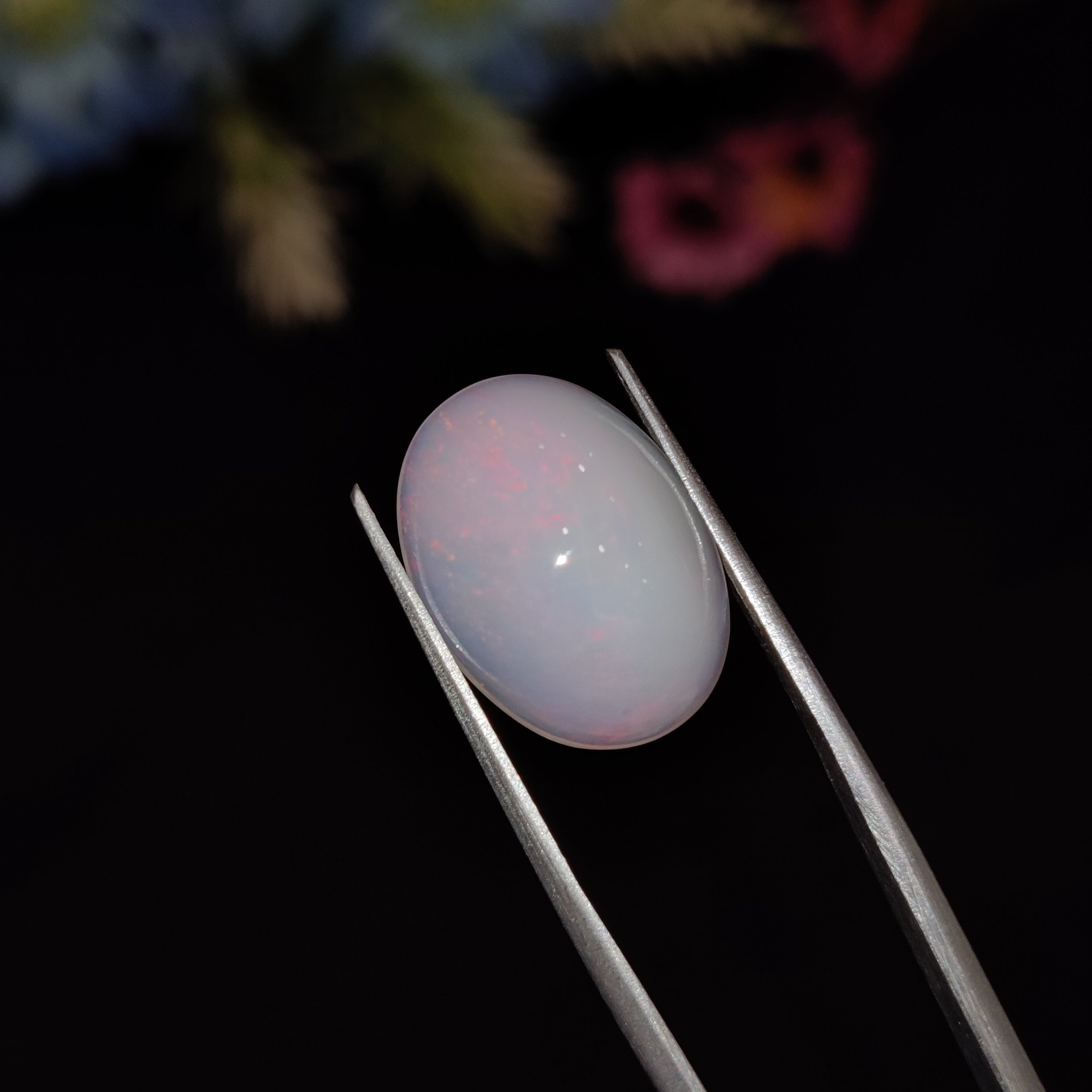 Opal | Opal 218 | 5.88 Carat
