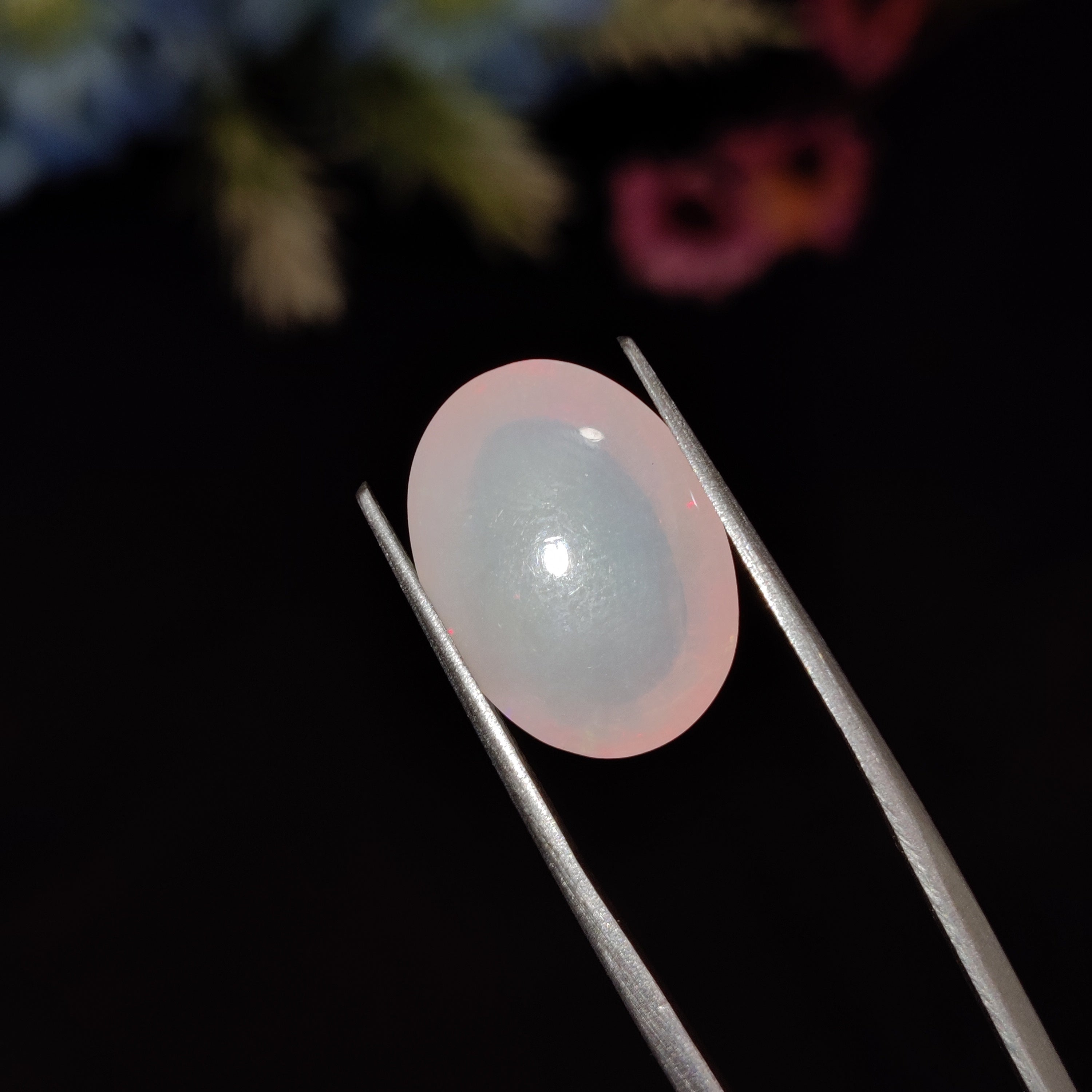 Opal | Opal 218 | 5.88 Carat