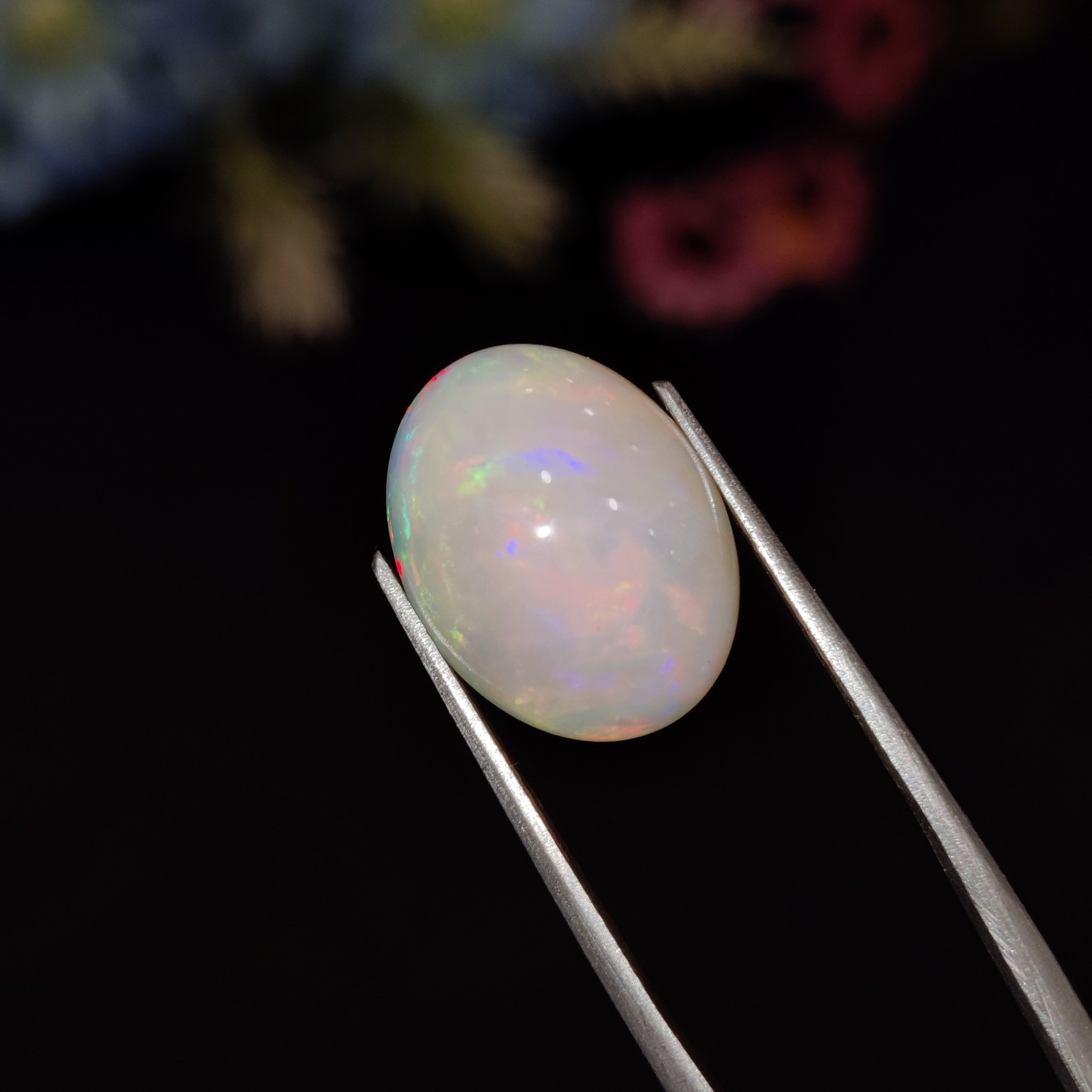 Opal | Opal 219 | 4.56 Carat