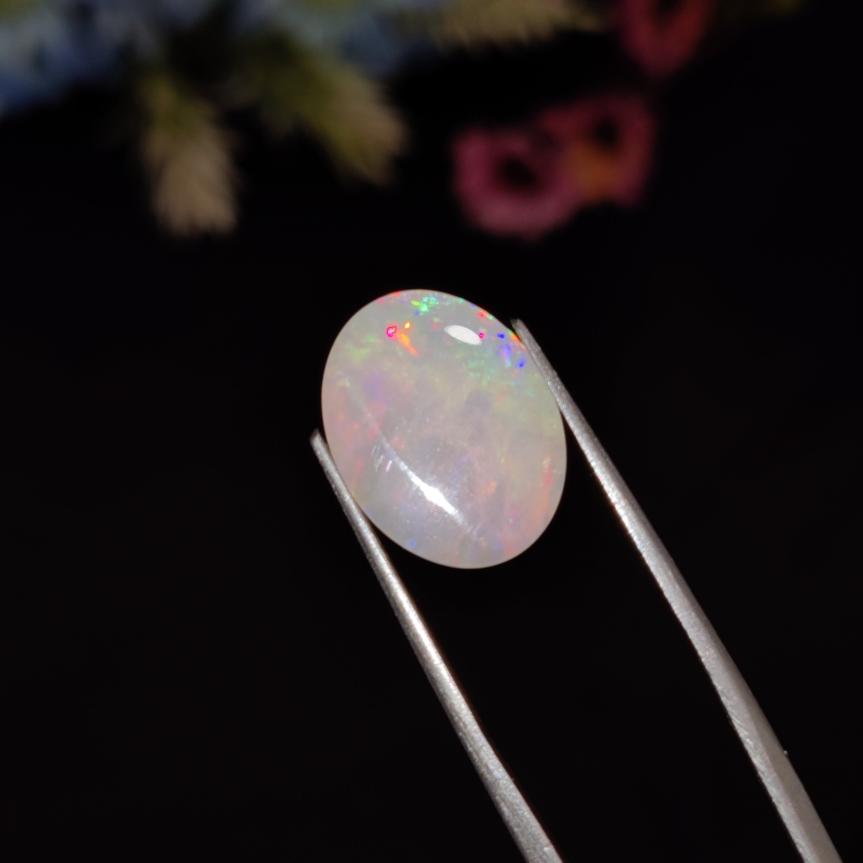 Opal | Opal 219 | 4.56 Carat
