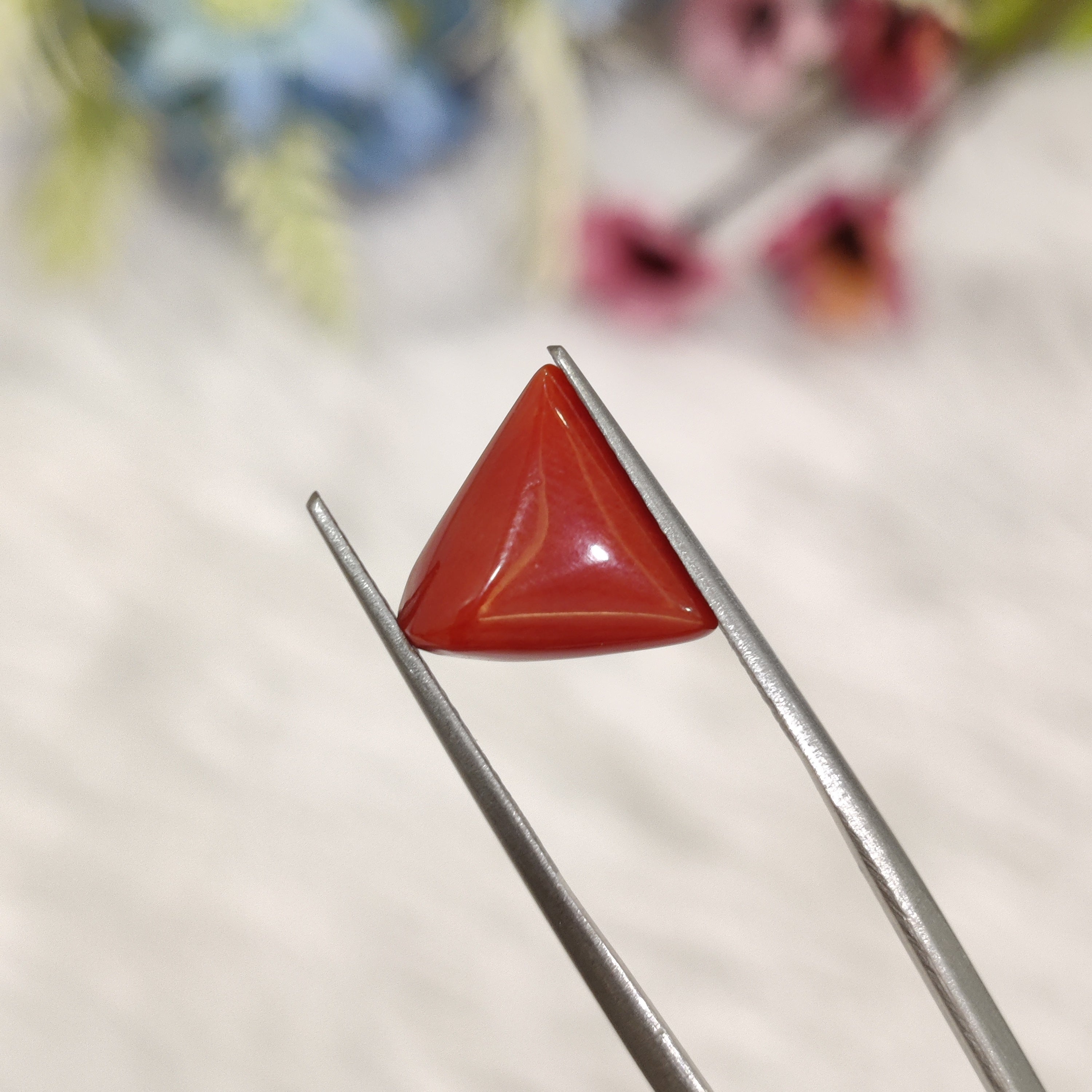 Coral | CORAL 172 | 4.28 Carat