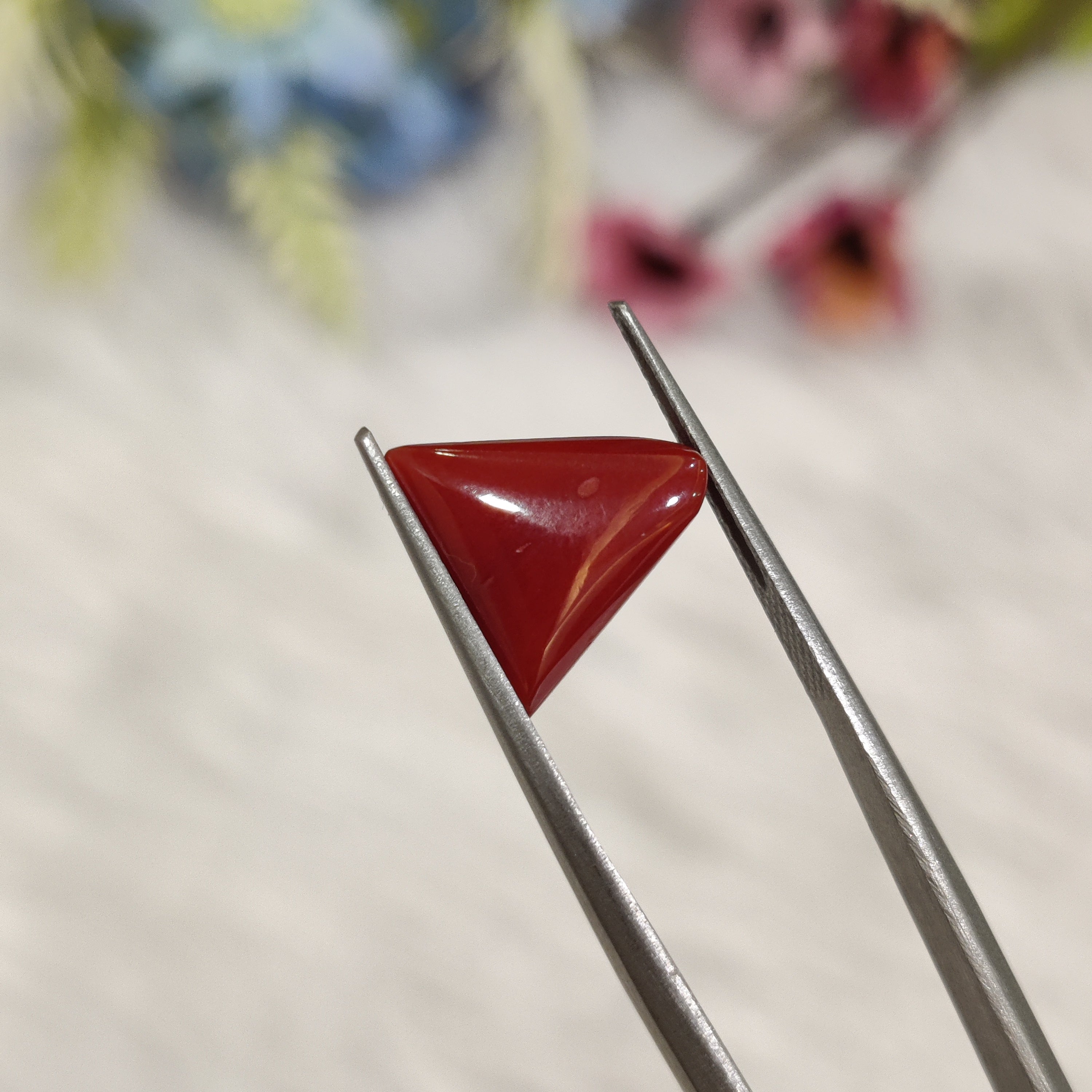 Coral | CORAL 173 | 4.23 Carat