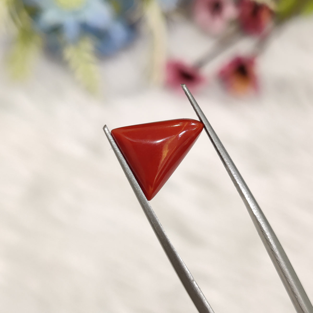 Natural Coral (Moonga) | Coral 177 | 4.07 Carat | Certified