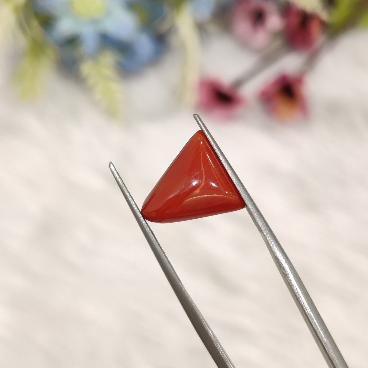 Natural Coral (Moonga) | Coral 179 | 4.55 Carat | Certified
