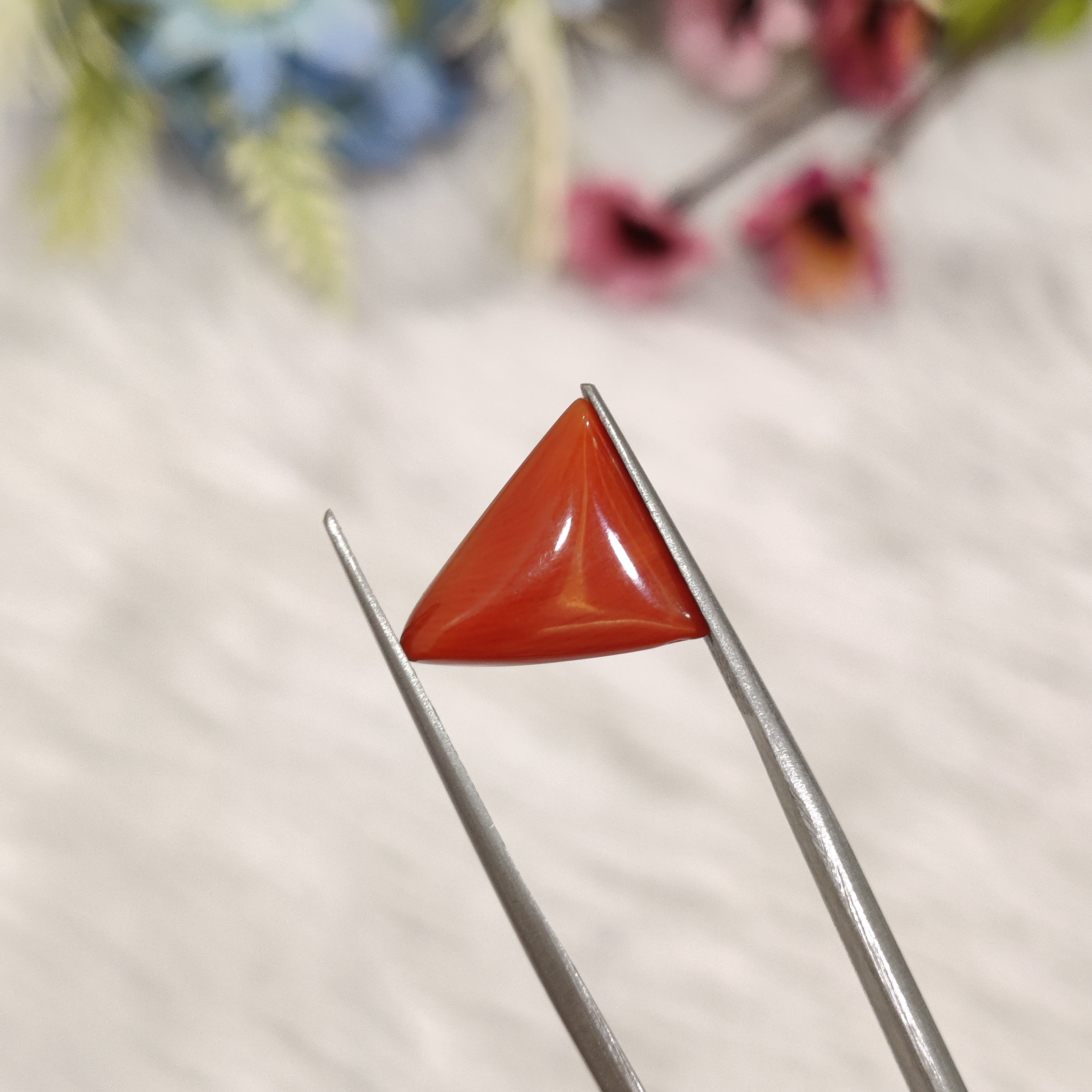 Coral | CORAL 182 | 4.8 Carat
