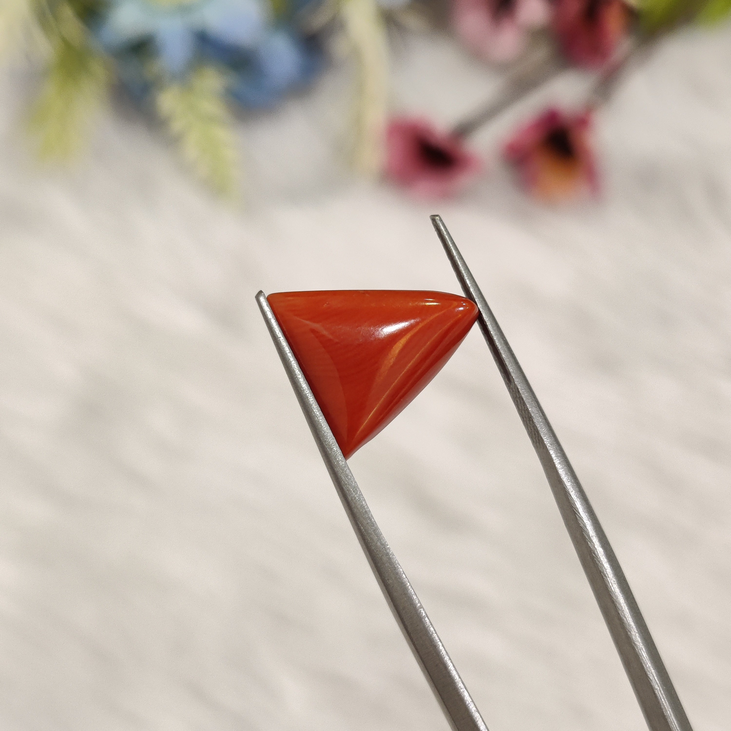 Coral | CORAL 182 | 4.8 Carat