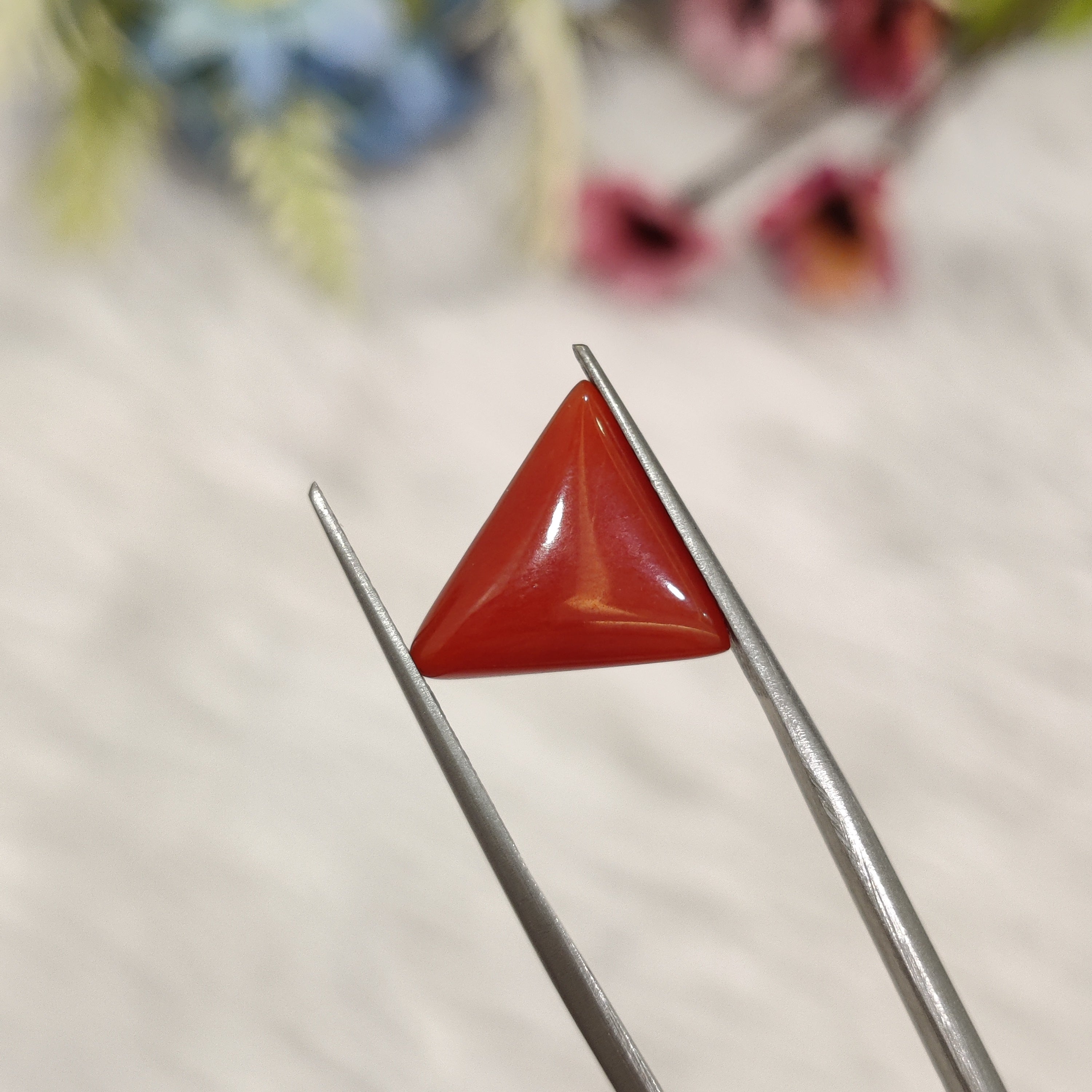 Coral | CORAL 184 | 4.56 Carat