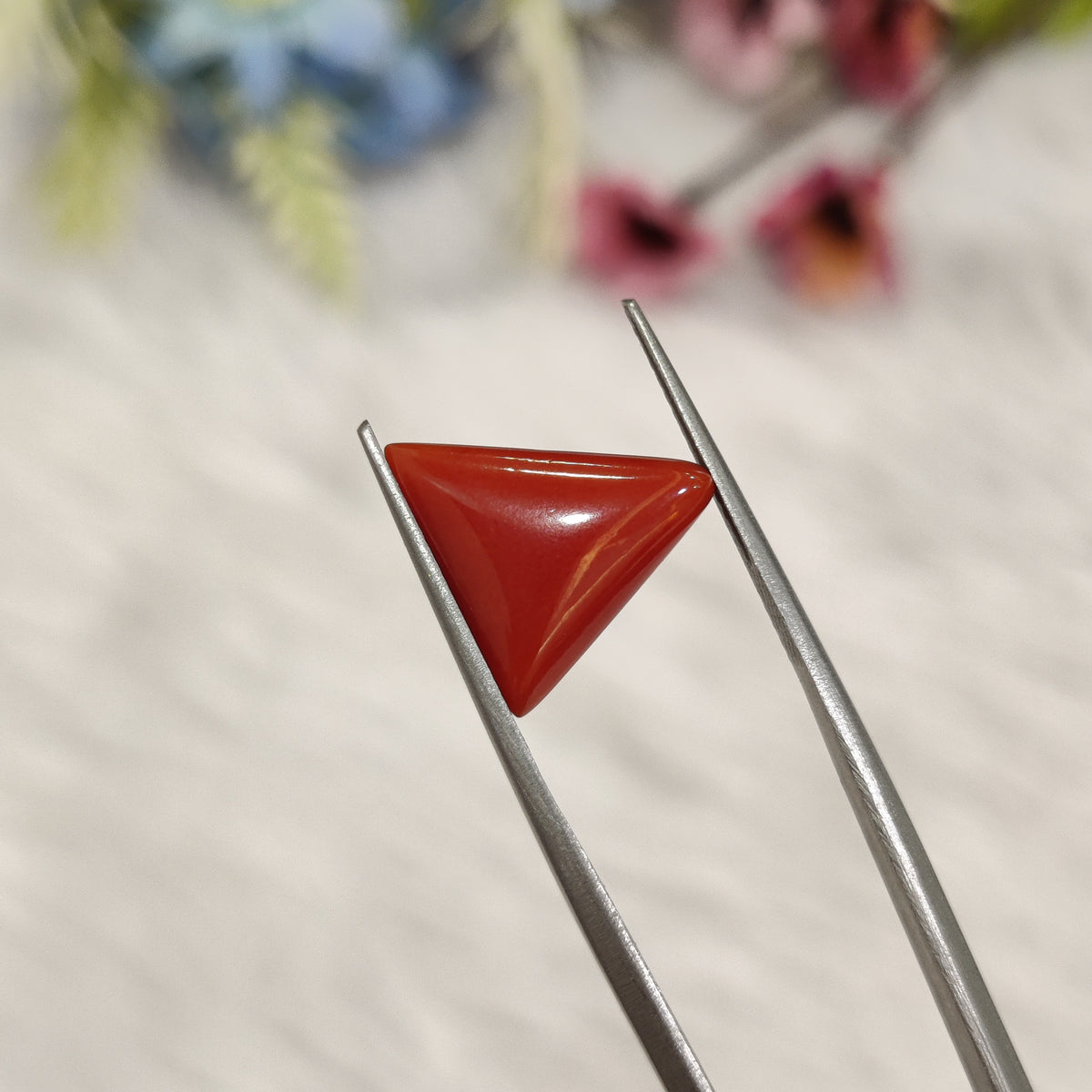 Natural Coral (Moonga) | Coral 184 | 4.56 Carat | Certified