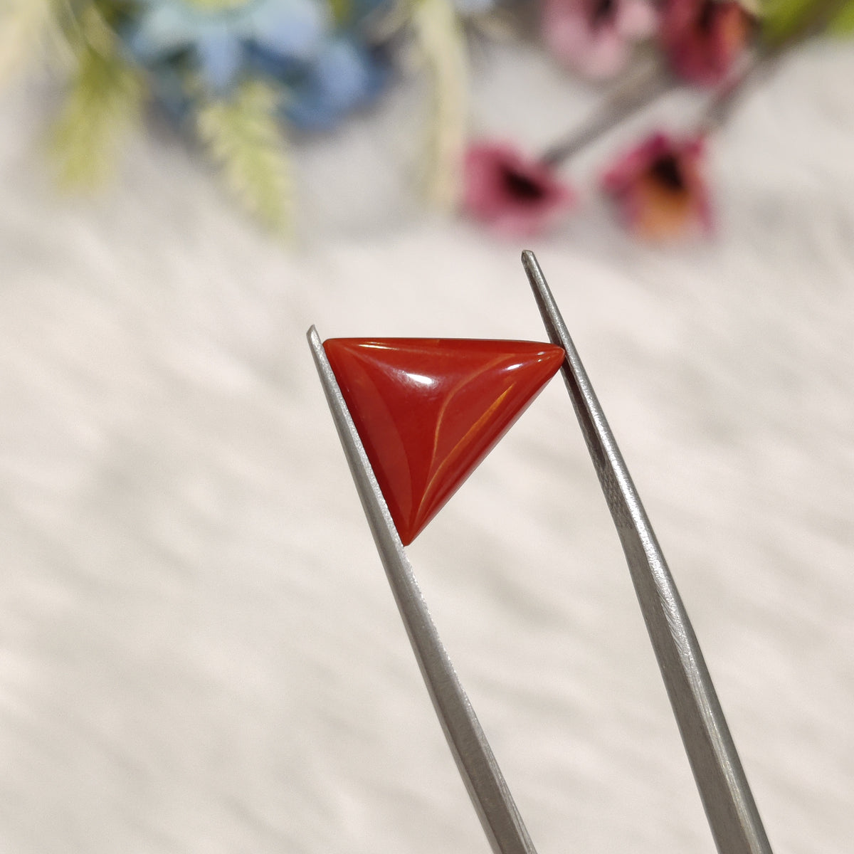 Natural Coral (Moonga) | Coral 186 | 4.67 Carat | Certified