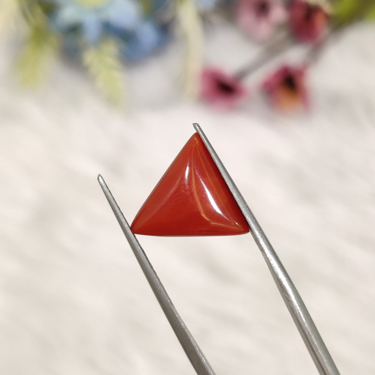Natural Coral (Moonga) | Coral 188 | 4.81 Carat | Certified
