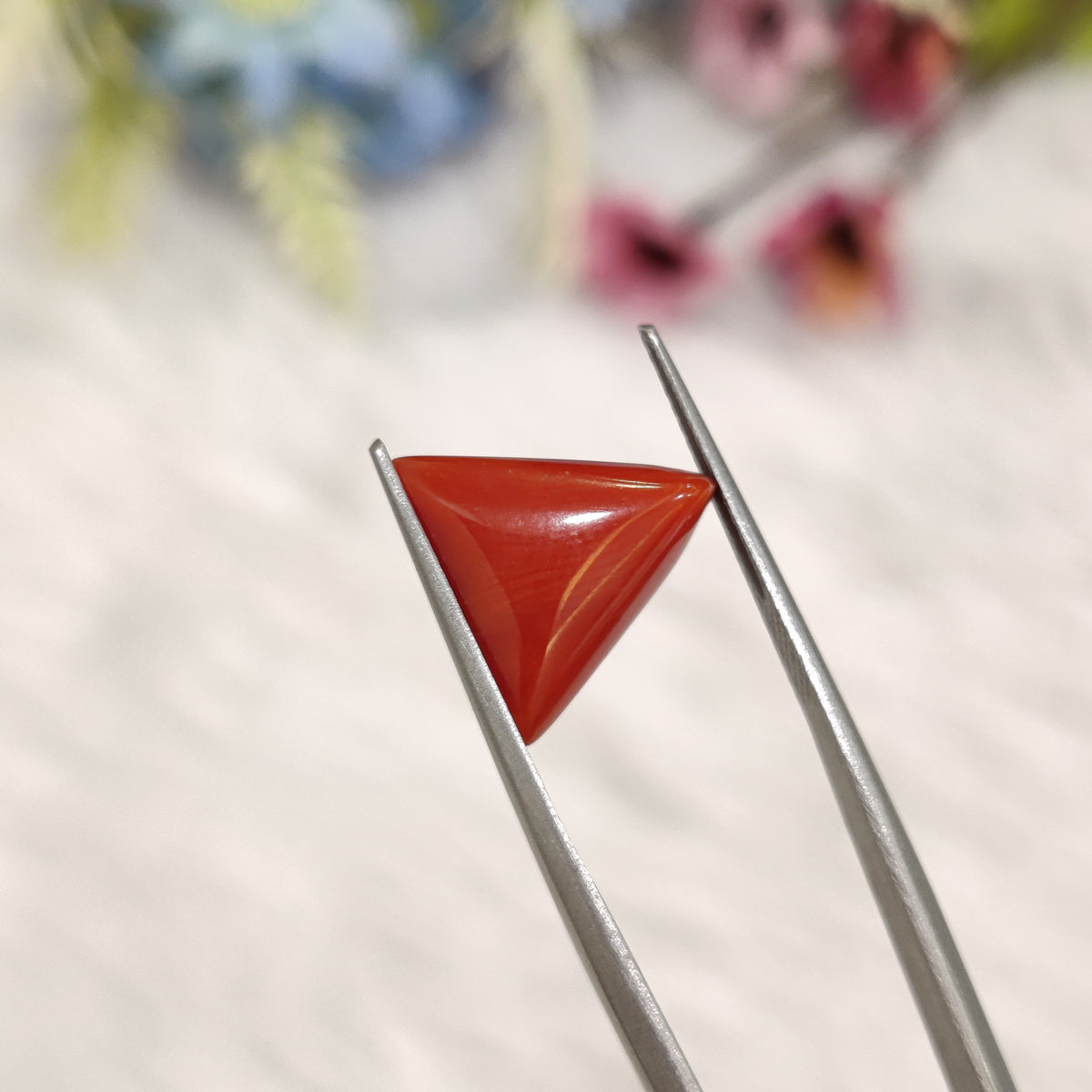 Natural Coral (Moonga) | Coral 188 | 4.81 Carat | Certified