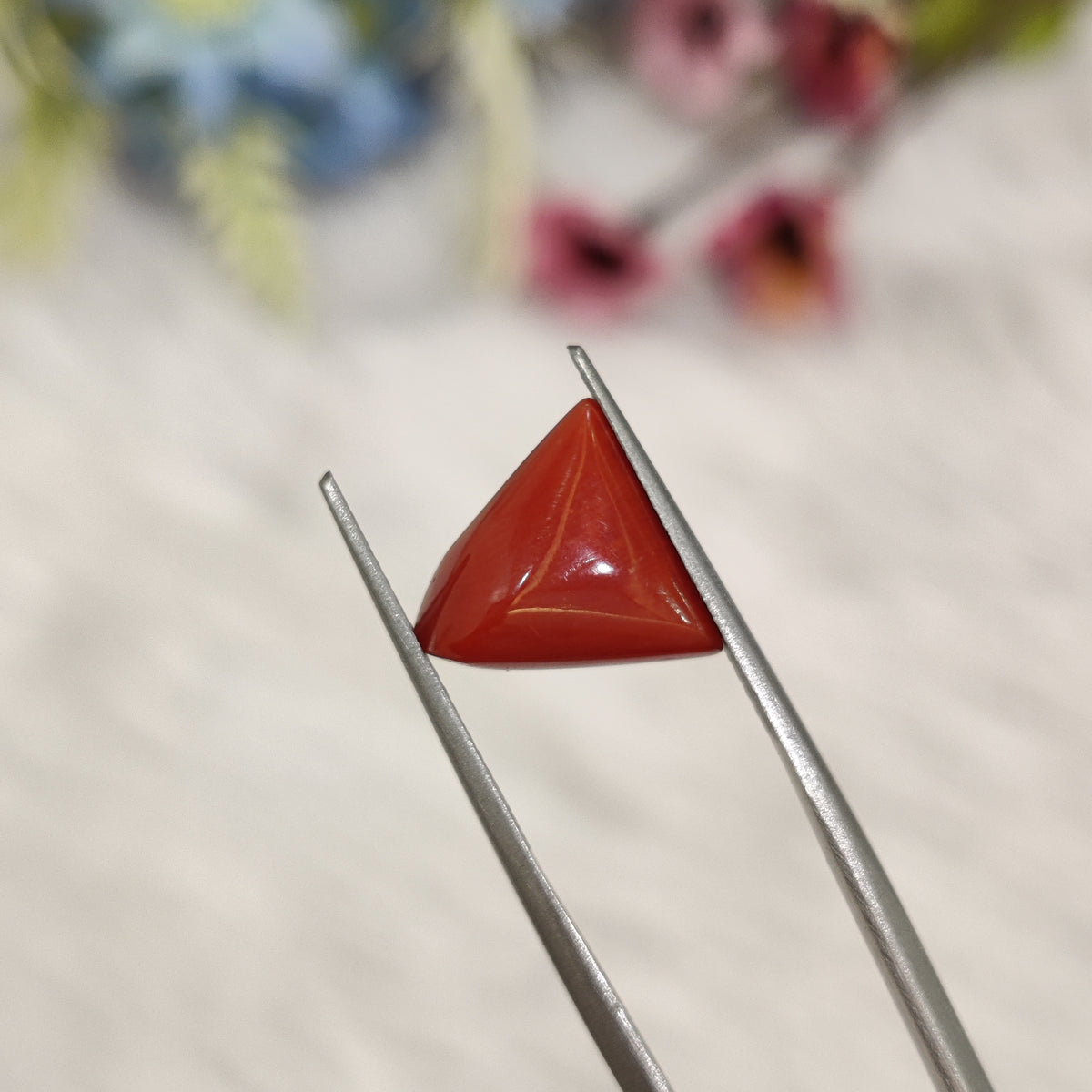Natural Coral (Moonga) | Coral 189 | 4.52 Carat | Certified
