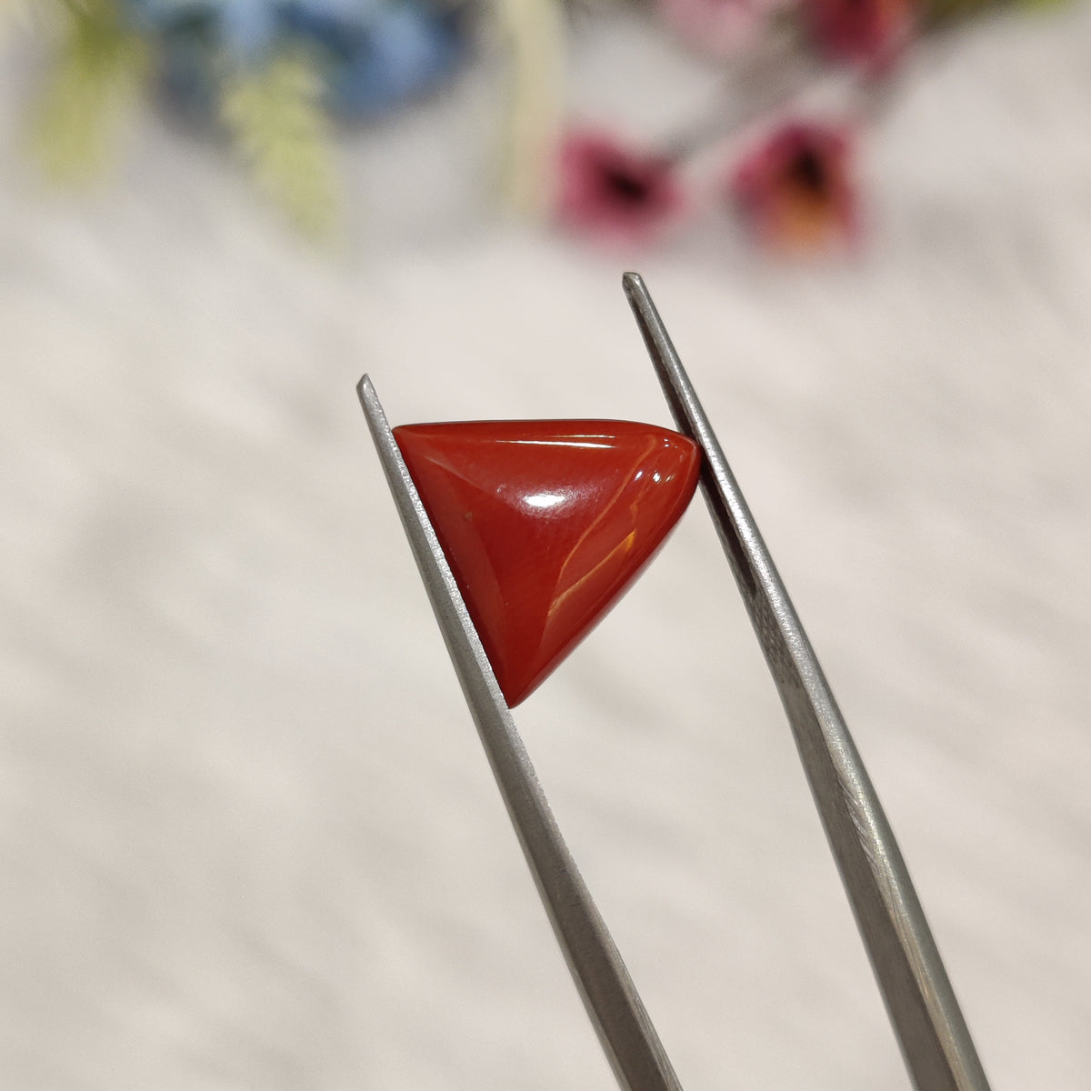 Natural Coral (Moonga) | Coral 189 | 4.52 Carat | Certified
