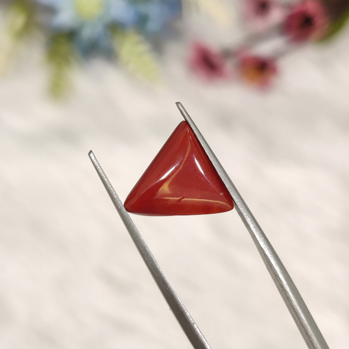 Natural Coral (Moonga) | Coral 191 | 3.84 Carat | Certified