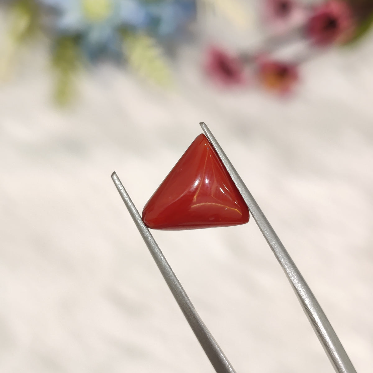 Natural Coral (Moonga) | Coral 194 | 3.75 Carat | Certified