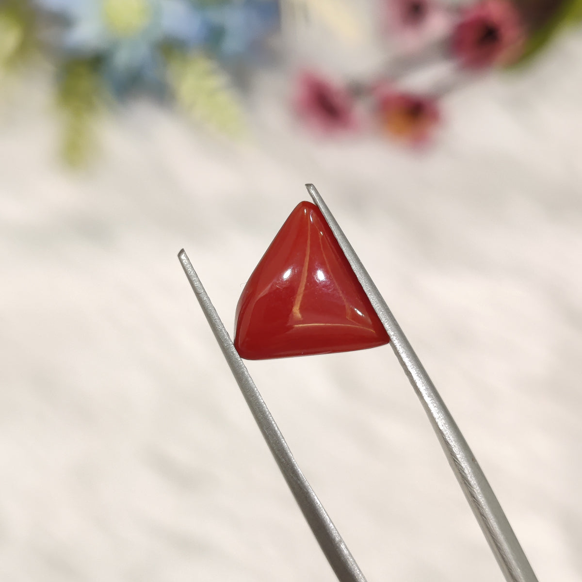 Natural Coral (Moonga) | Coral 195 | 3.71 Carat | Certified