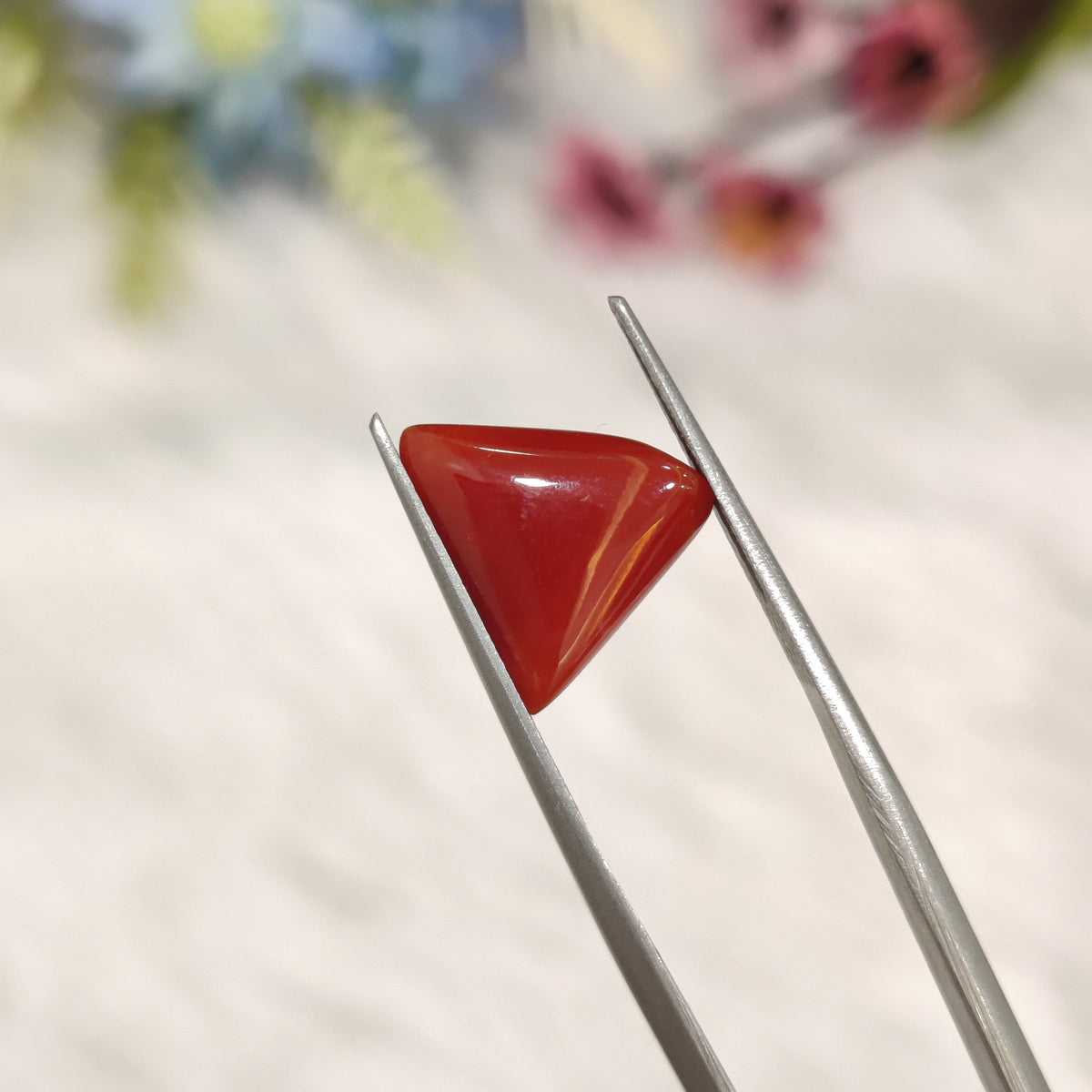 Natural Coral (Moonga) | Coral 195 | 3.71 Carat | Certified