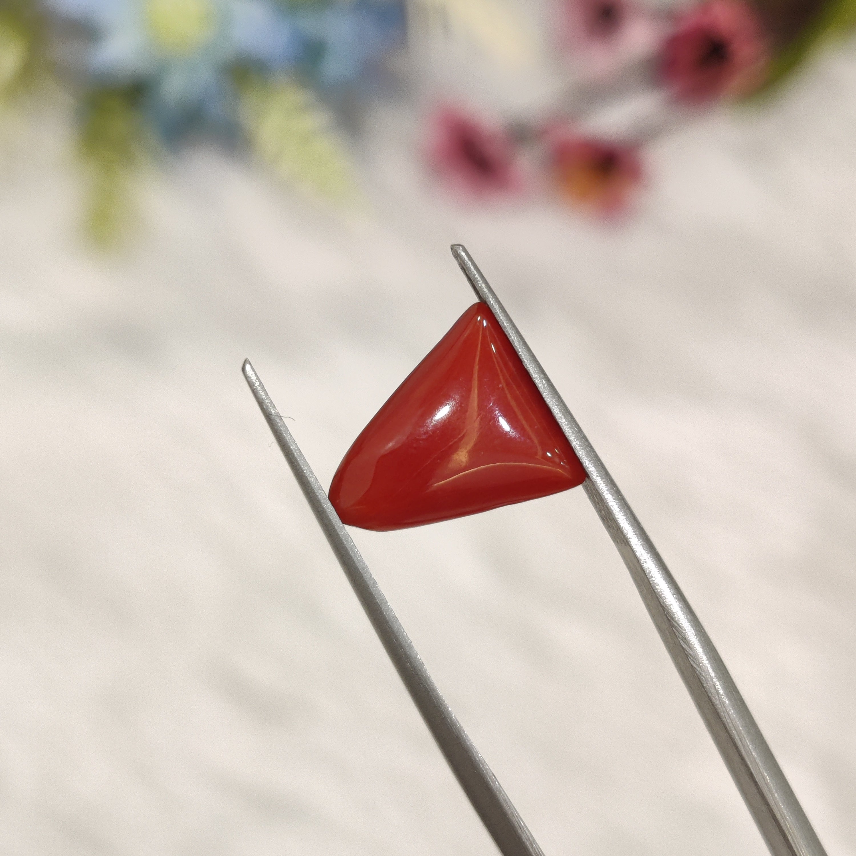 Coral | CORAL 197 | 3.5 Carat