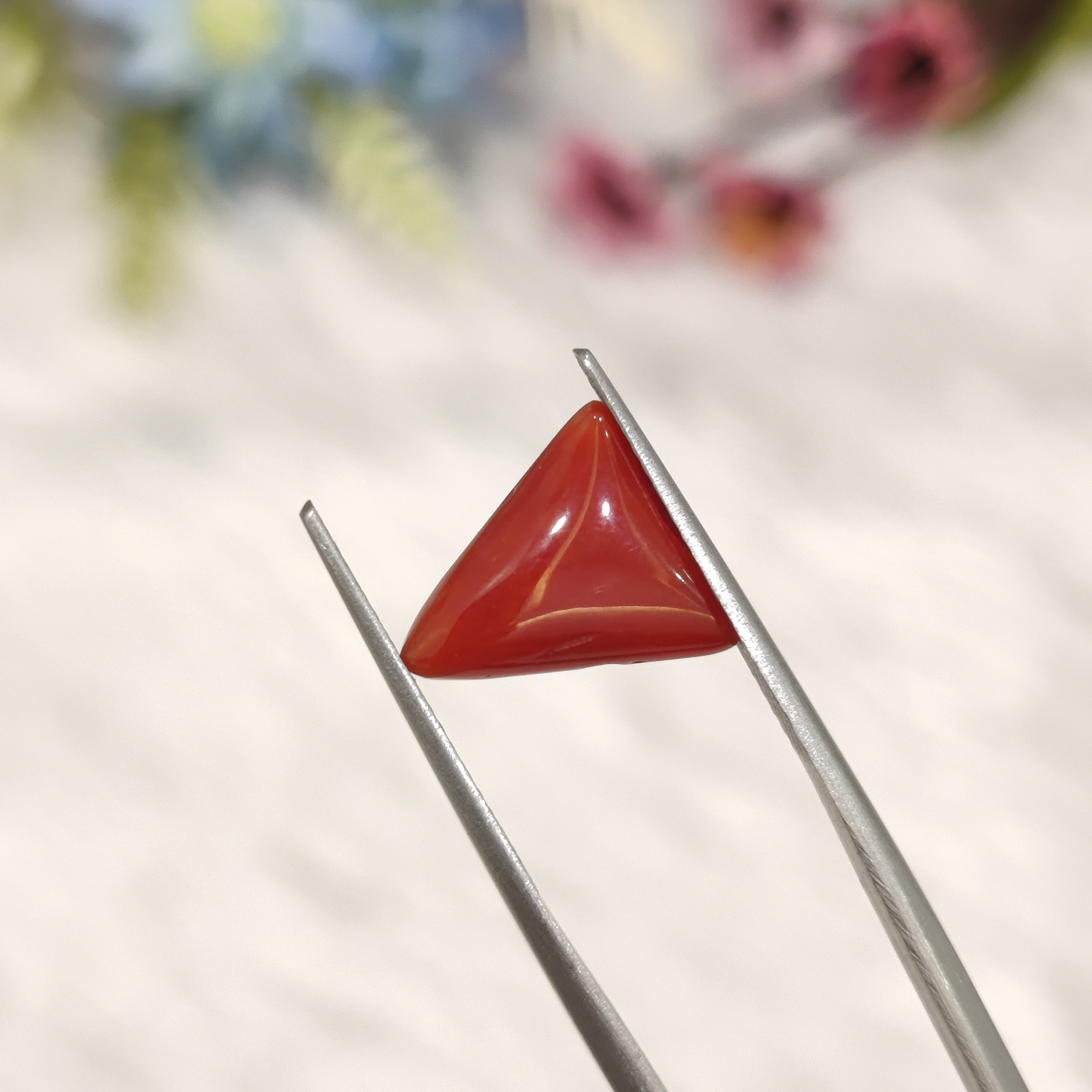Coral | CORAL 198 | 3.35 Carat