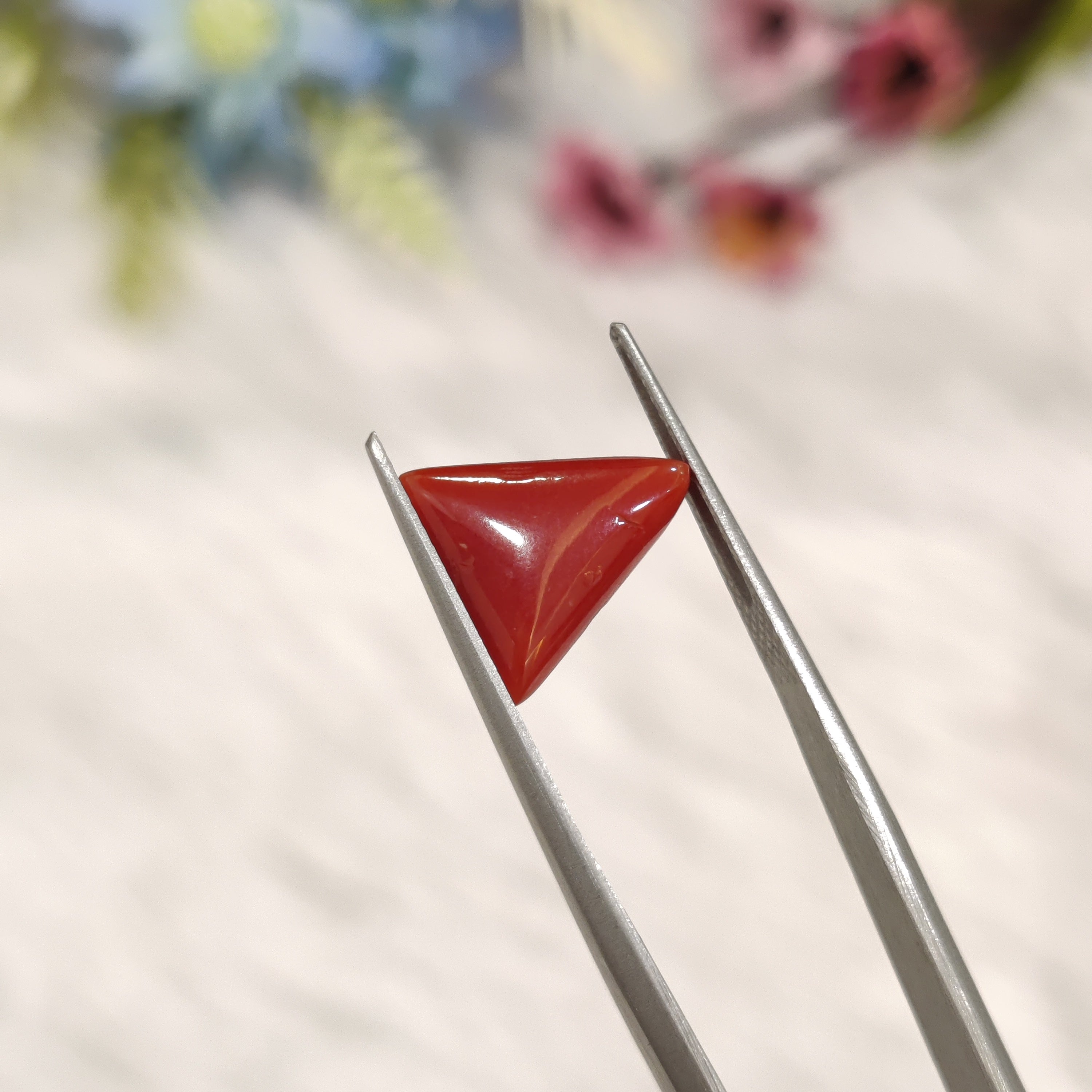 Coral | CORAL 198 | 3.35 Carat