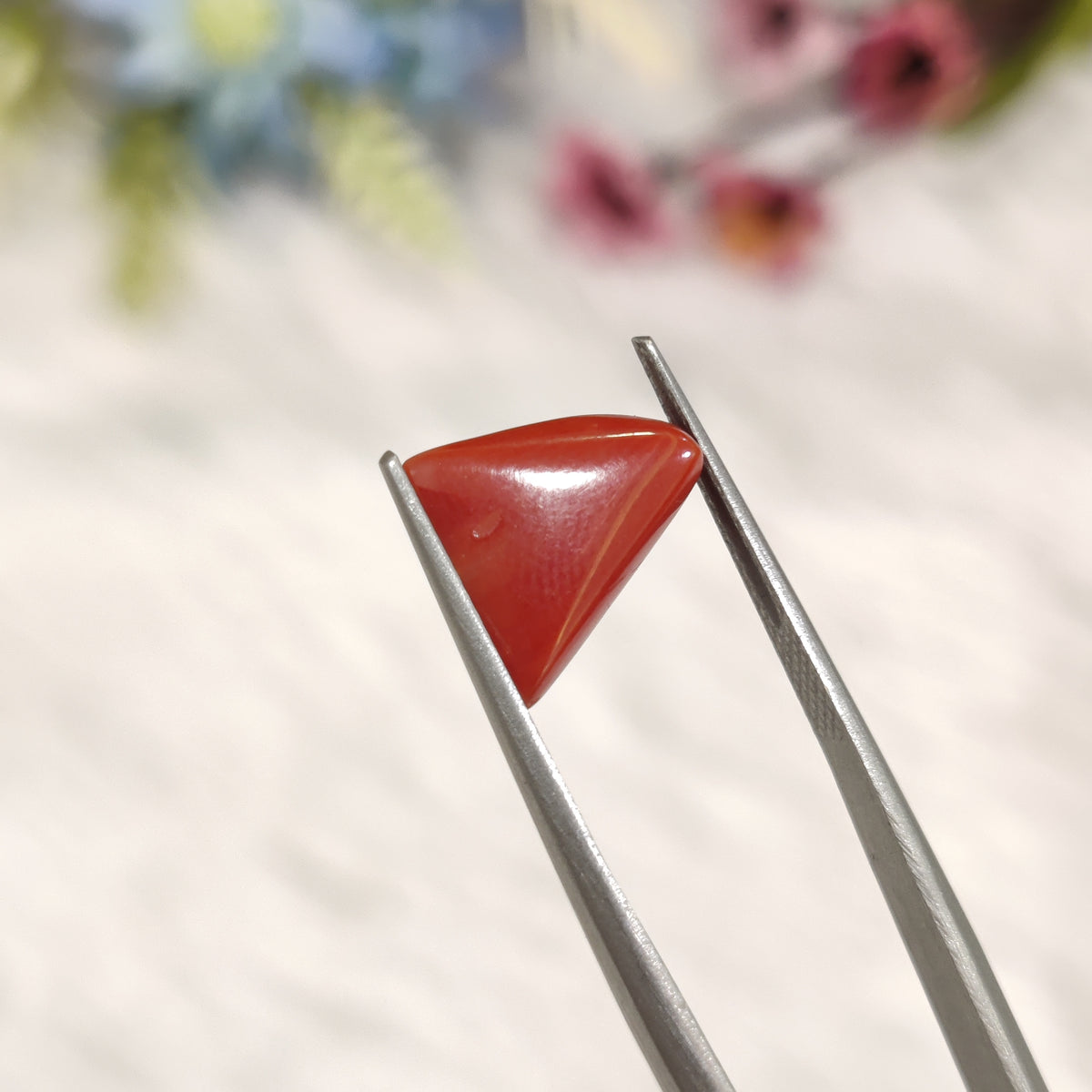 Natural Coral (Moonga) | Coral 199 | 3.84 Carat | Certified