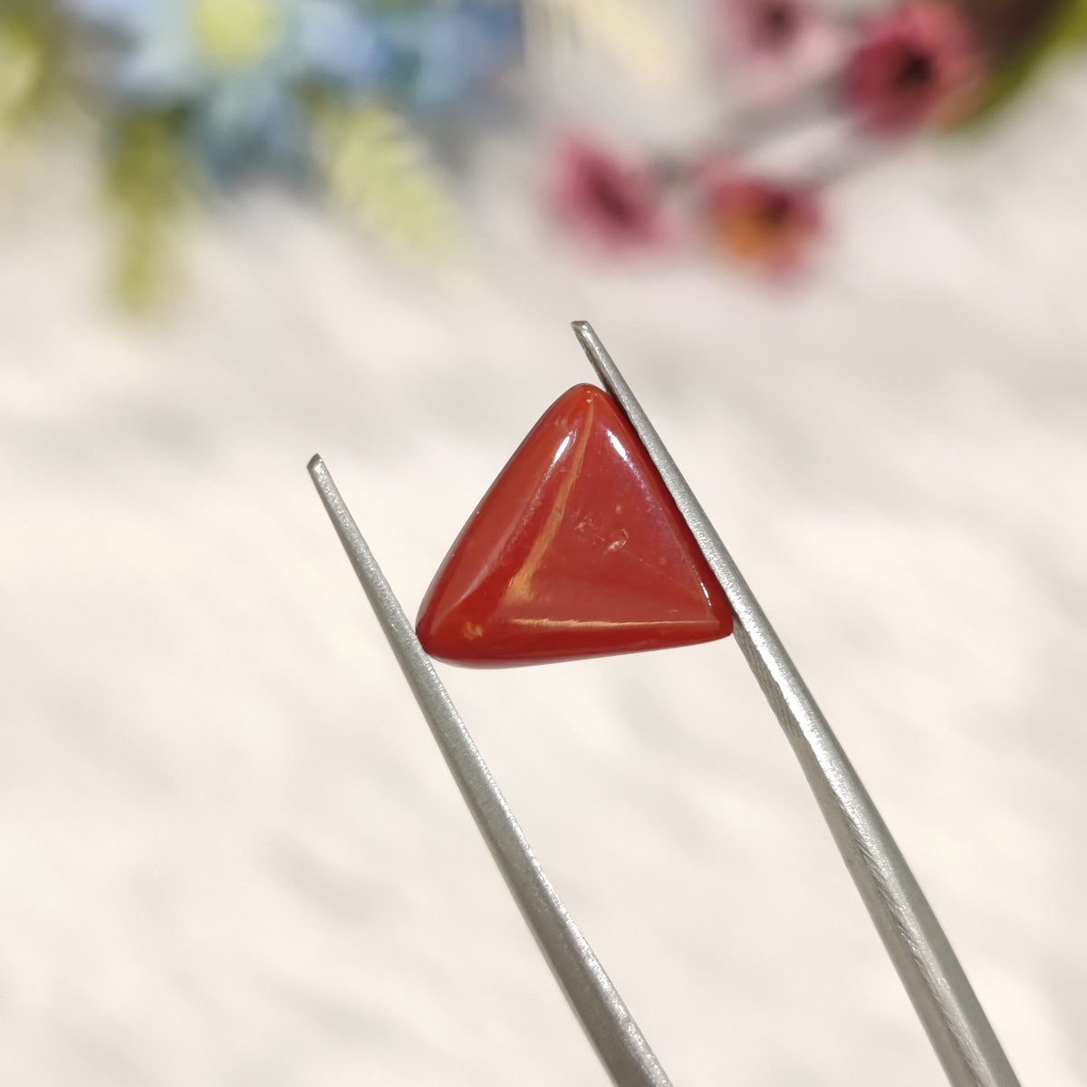 Natural Coral (Moonga) | Coral 201 | 3.91 Carat | Certified