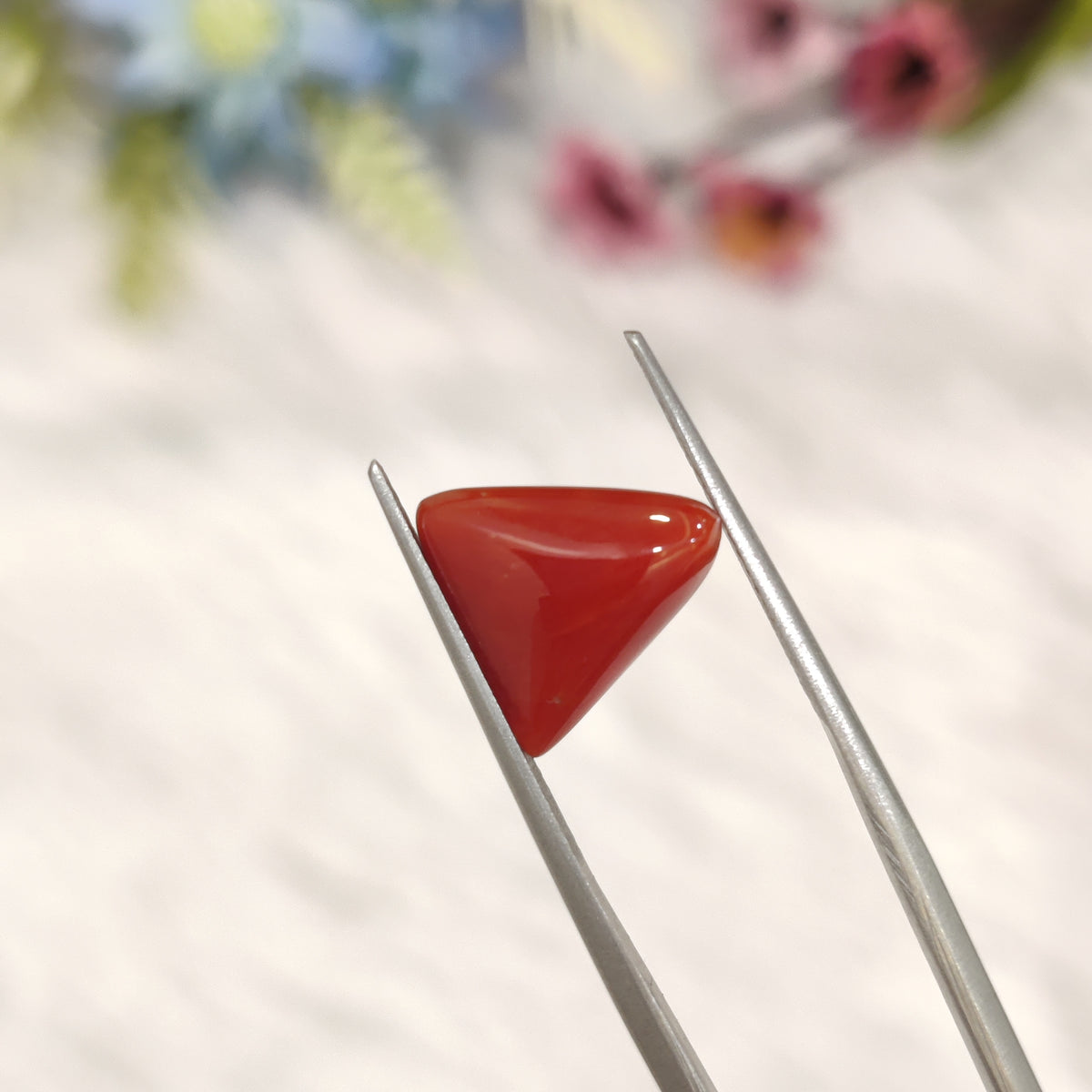 Natural Coral (Moonga) | Coral 201 | 3.91 Carat | Certified