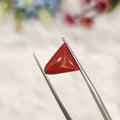 Coral | CORAL 202 | 3.66 Carat