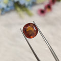 Hessonite Garnet  | HG 9 | 4.84 Carat