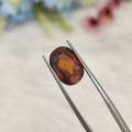 Hessonite Garnet  | HG 17 | 5.42 Carat