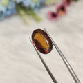 Hessonite Garnet  | HG 21 | 5.93 Carat