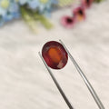 Hessonite Garnet  | HG 32 | 5.47 Carat