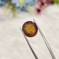 Hessonite Garnet  | HG 19 | 6.78 Carat