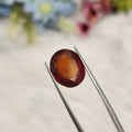 Hessonite Garnet  | HG 40 | 8 Carat