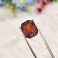 Hessonite Garnet  | HG 16 | 11.51 Carat