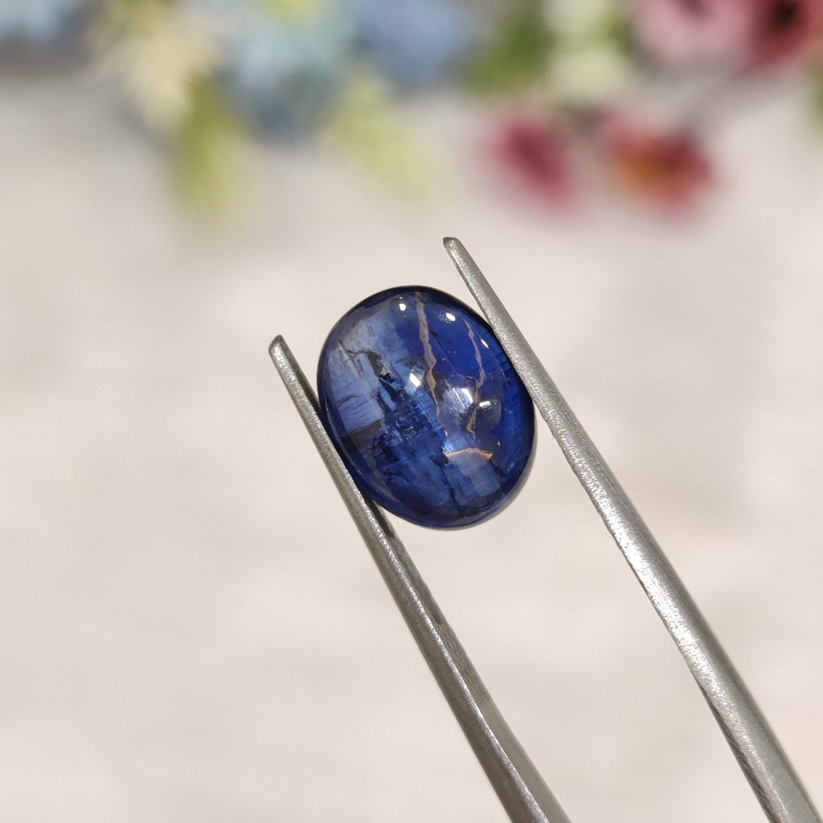 Natural Kyanite | Kyanite 1 | 3.84 Carat | Certified