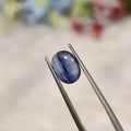 Kyanite | Kyanite 13 | 1.96 Carat