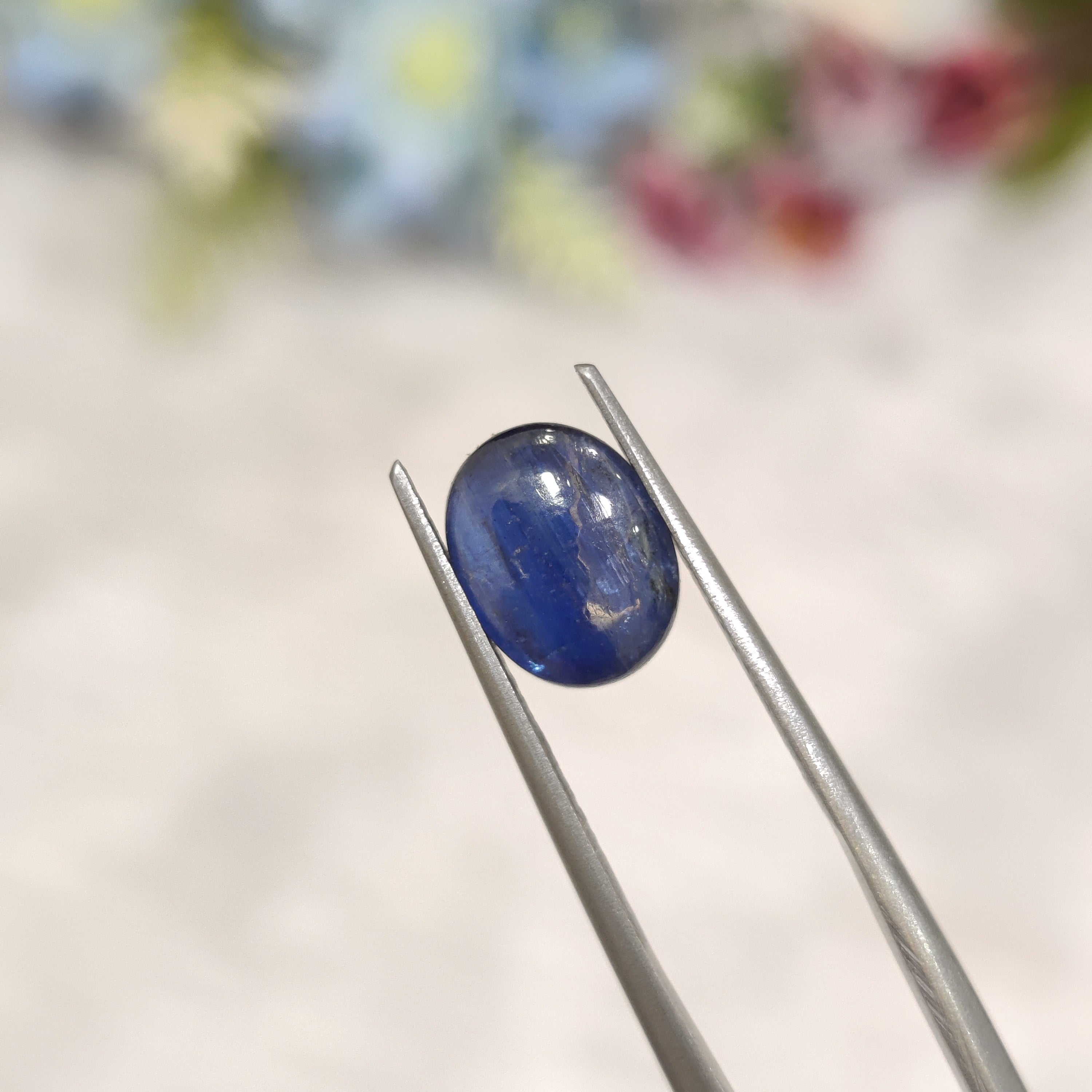 Kyanite | Kyanite 14 | 2.55 Carat