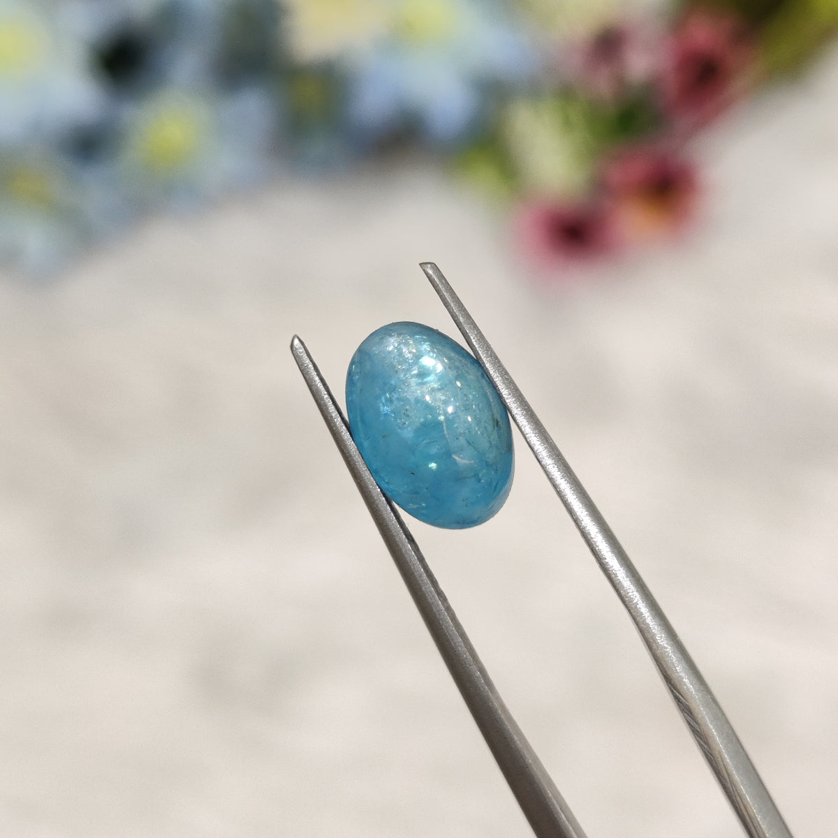Natural Apatite | Apatite 5 | 2.99 Carat | Certified