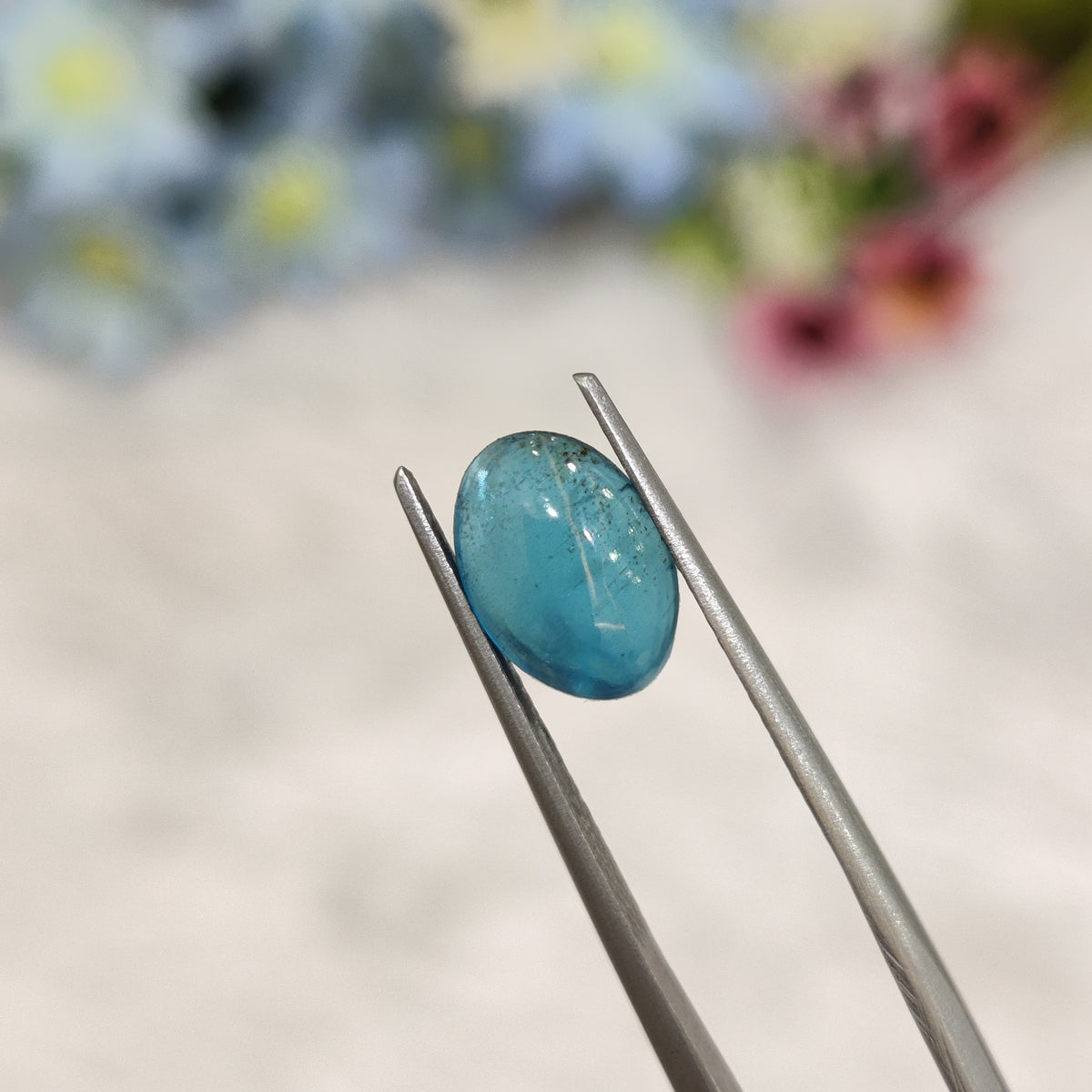 Natural Apatite | Apatite 6 | 2.72 Carat | Certified