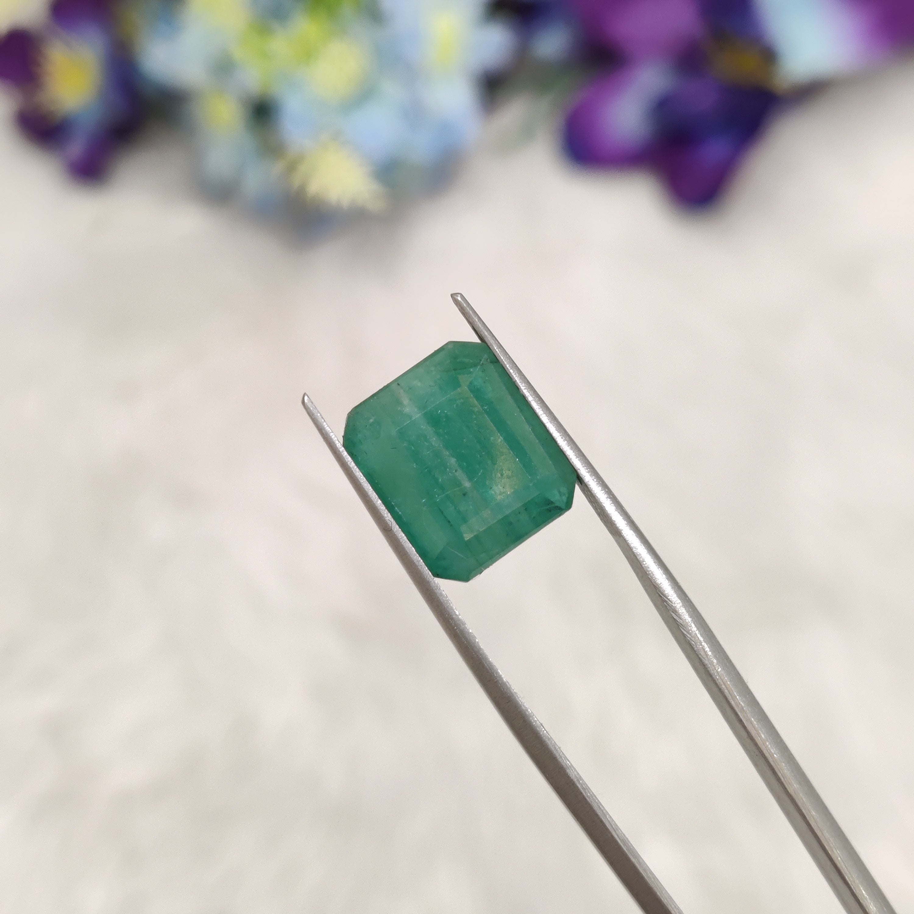 Emerald | EM 563 | 6.73 Carat