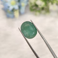 Emerald | EM 600 | 5.51 Carat