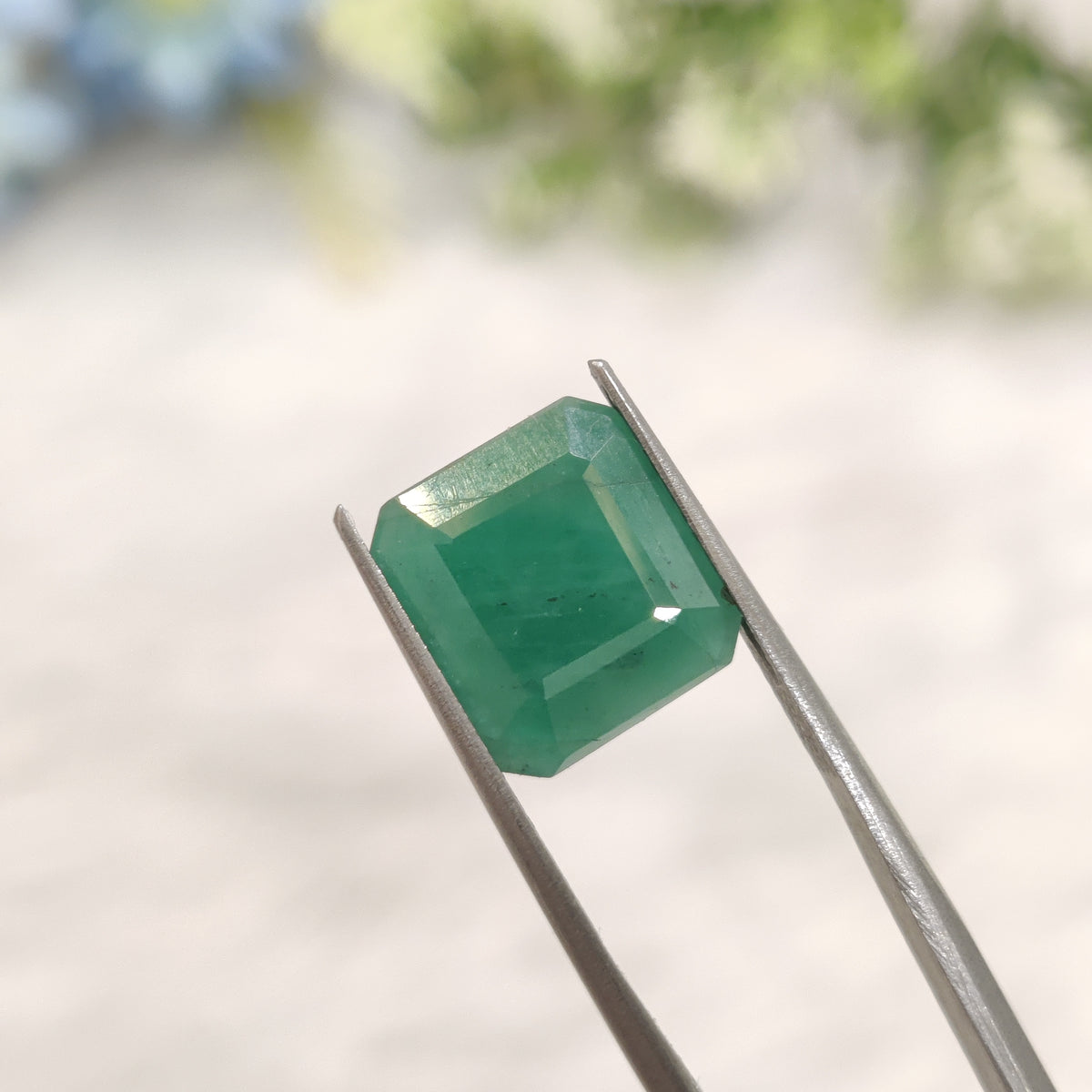 Natural Emerald (Panna) | EM 634 | 6 Carats | Certified