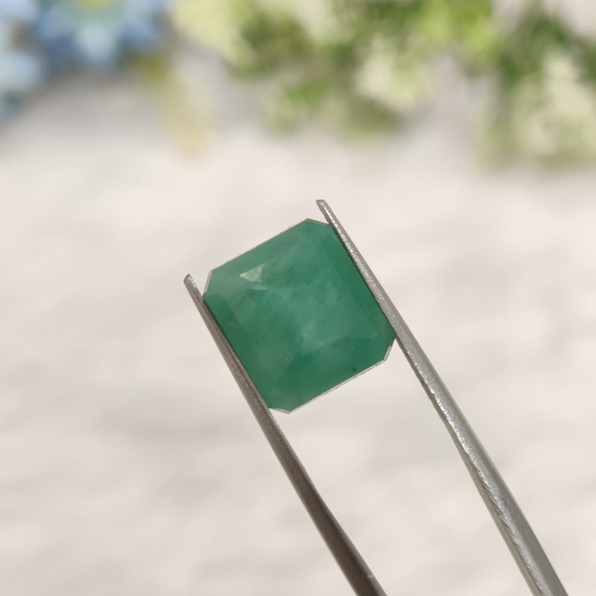Natural Emerald (Panna) | EM 634 | 6 Carats | Certified
