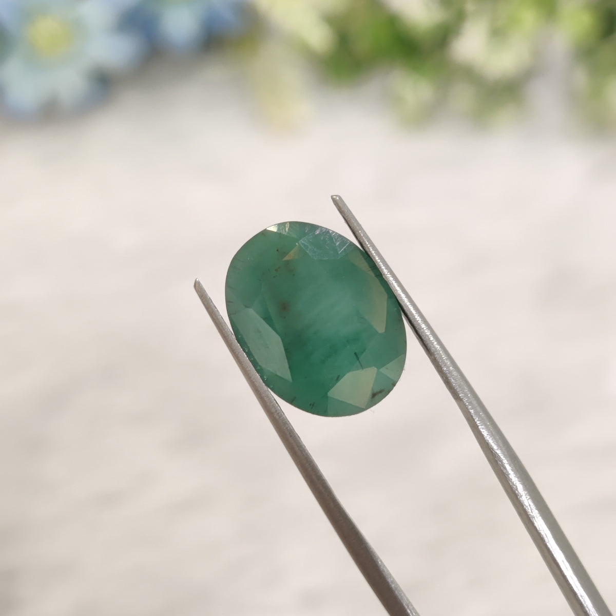 Natural Emerald (Panna) | EM 641 | 6.87 Carats | Certified