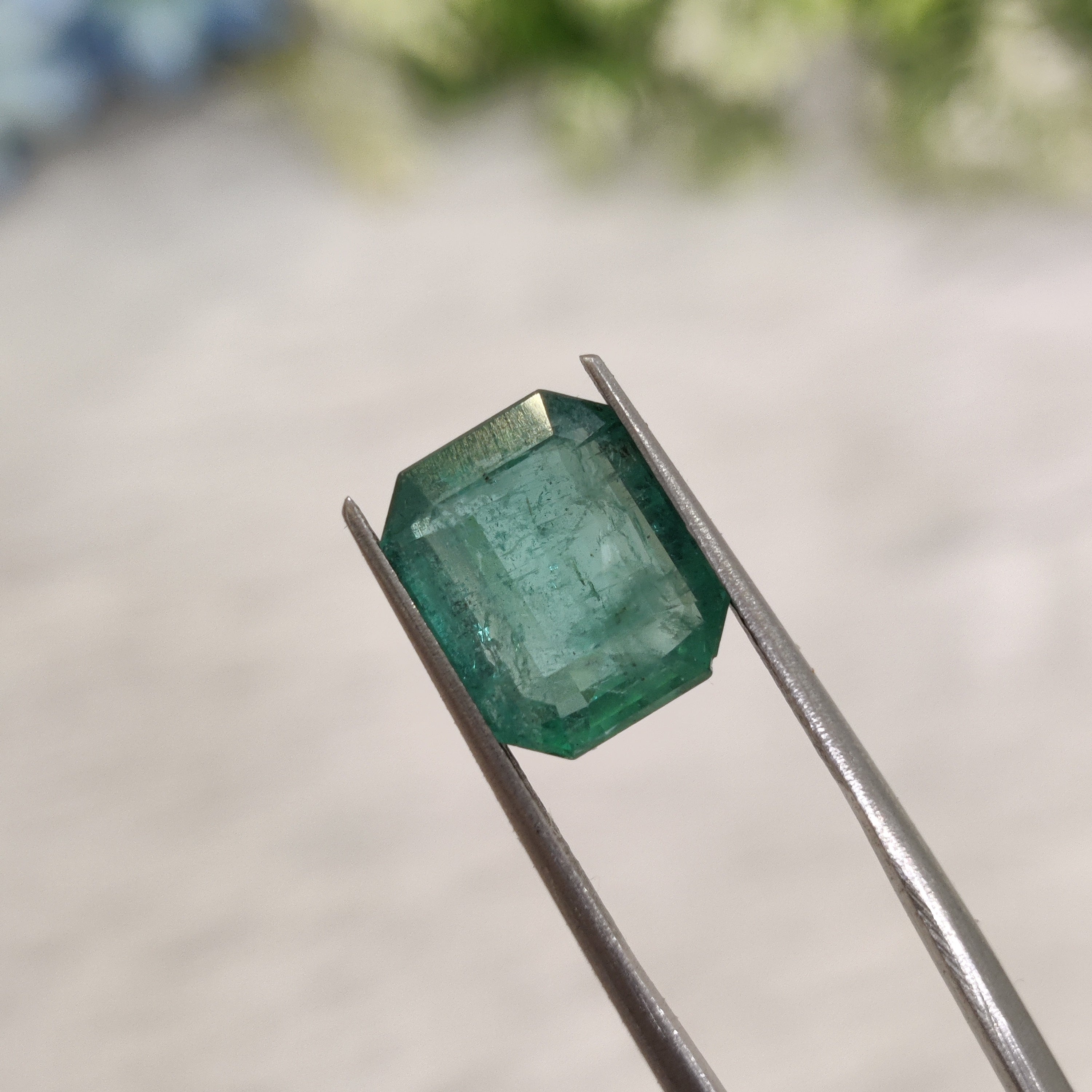 Emerald | EM 648 | 4.85 Carat