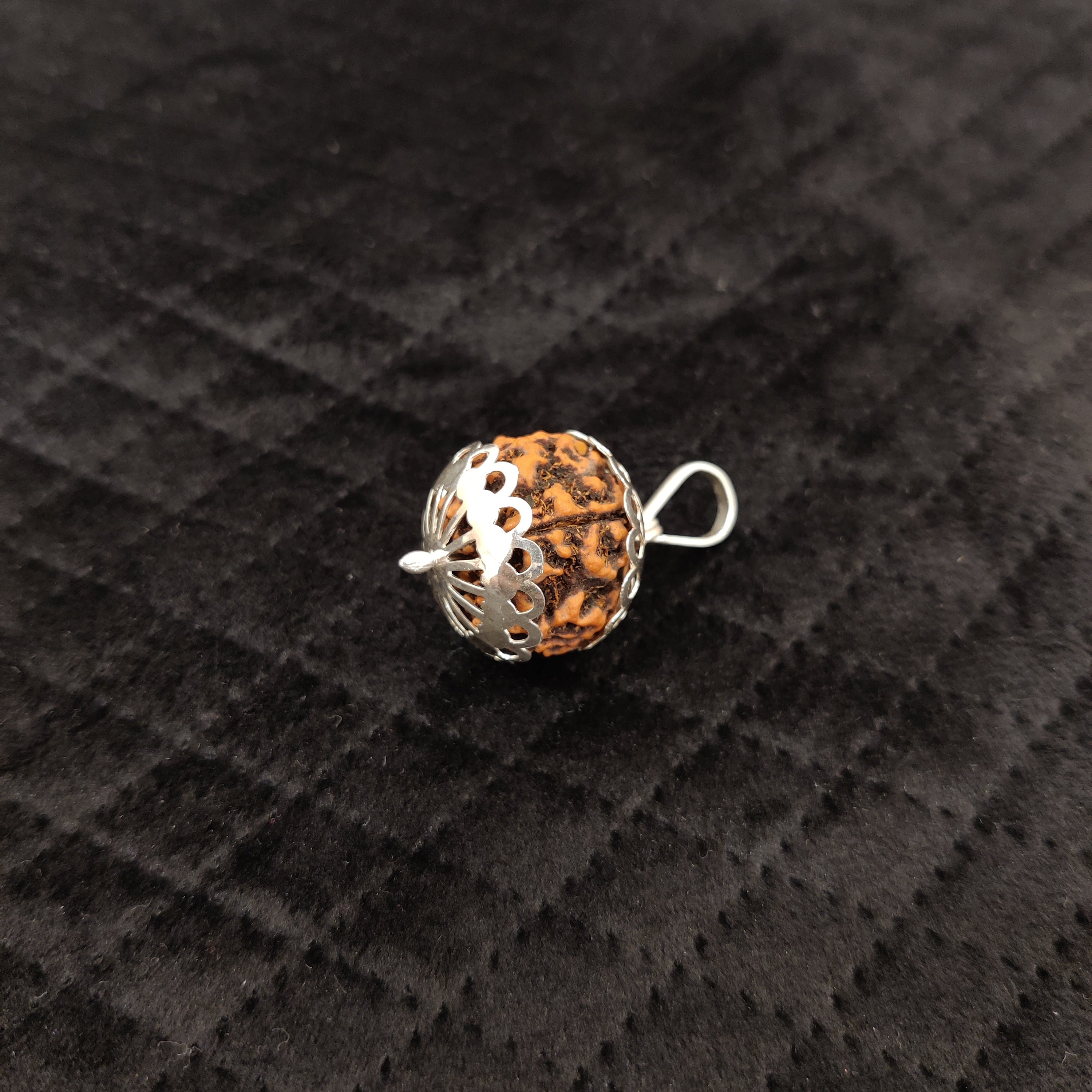 Natural 5 Mukhi Rudraksha Pendant | RP5M1