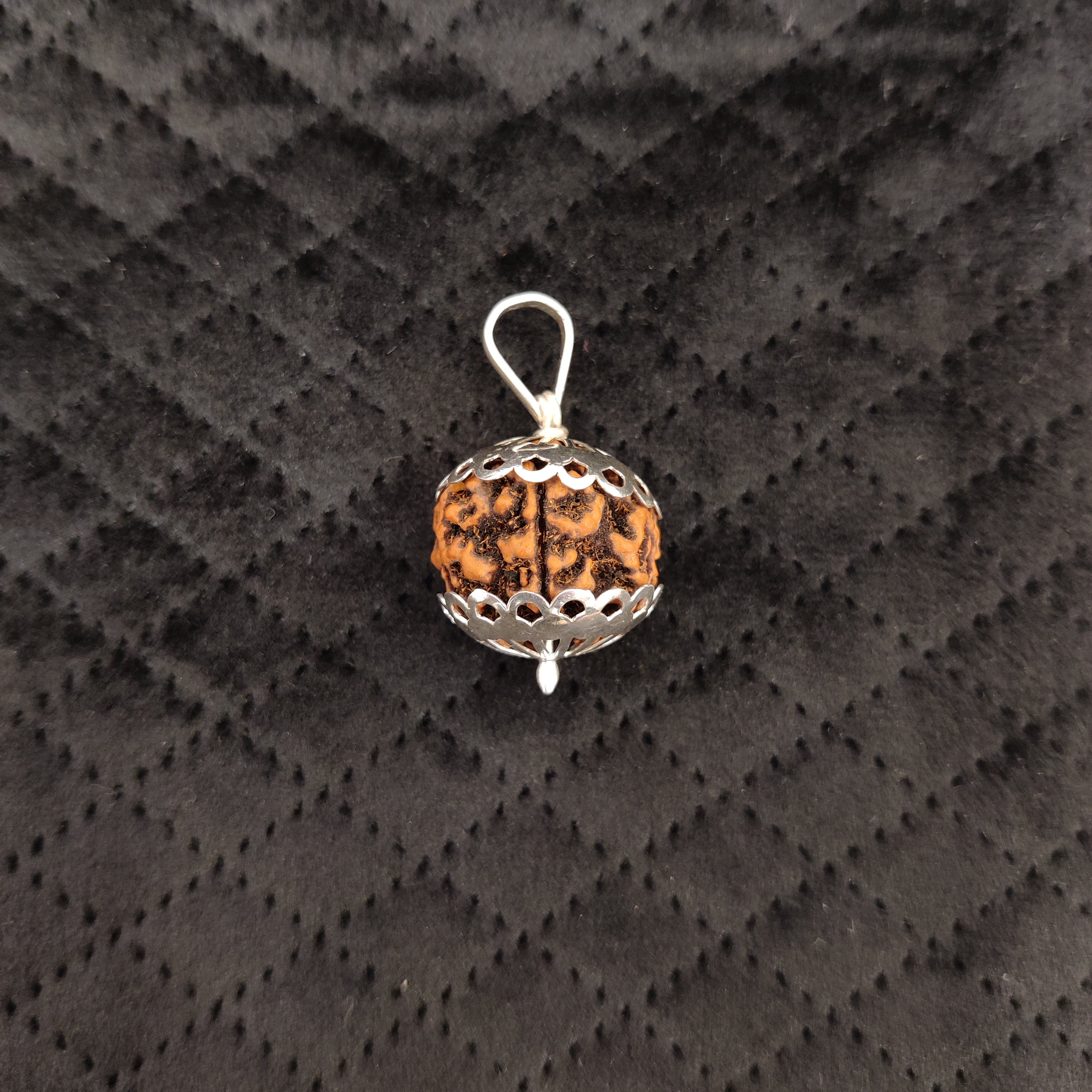 Natural 5 Mukhi Rudraksha Pendant | RP5M1